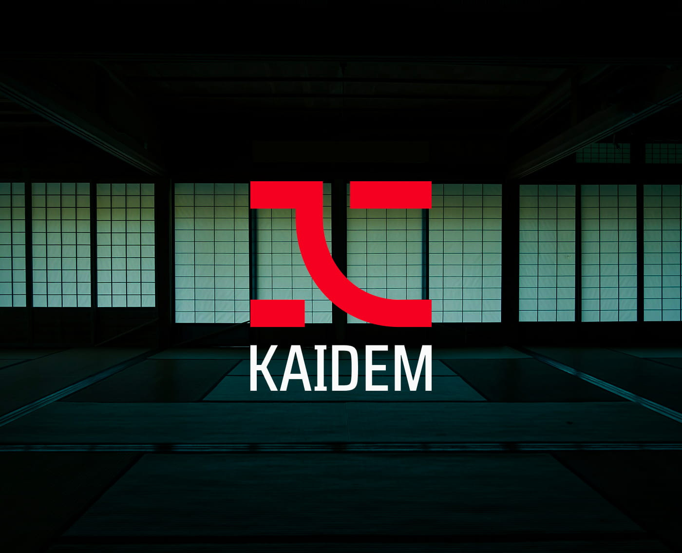 Kaidem™. Branding — Интерфейсы, Брендинг на Dprofile