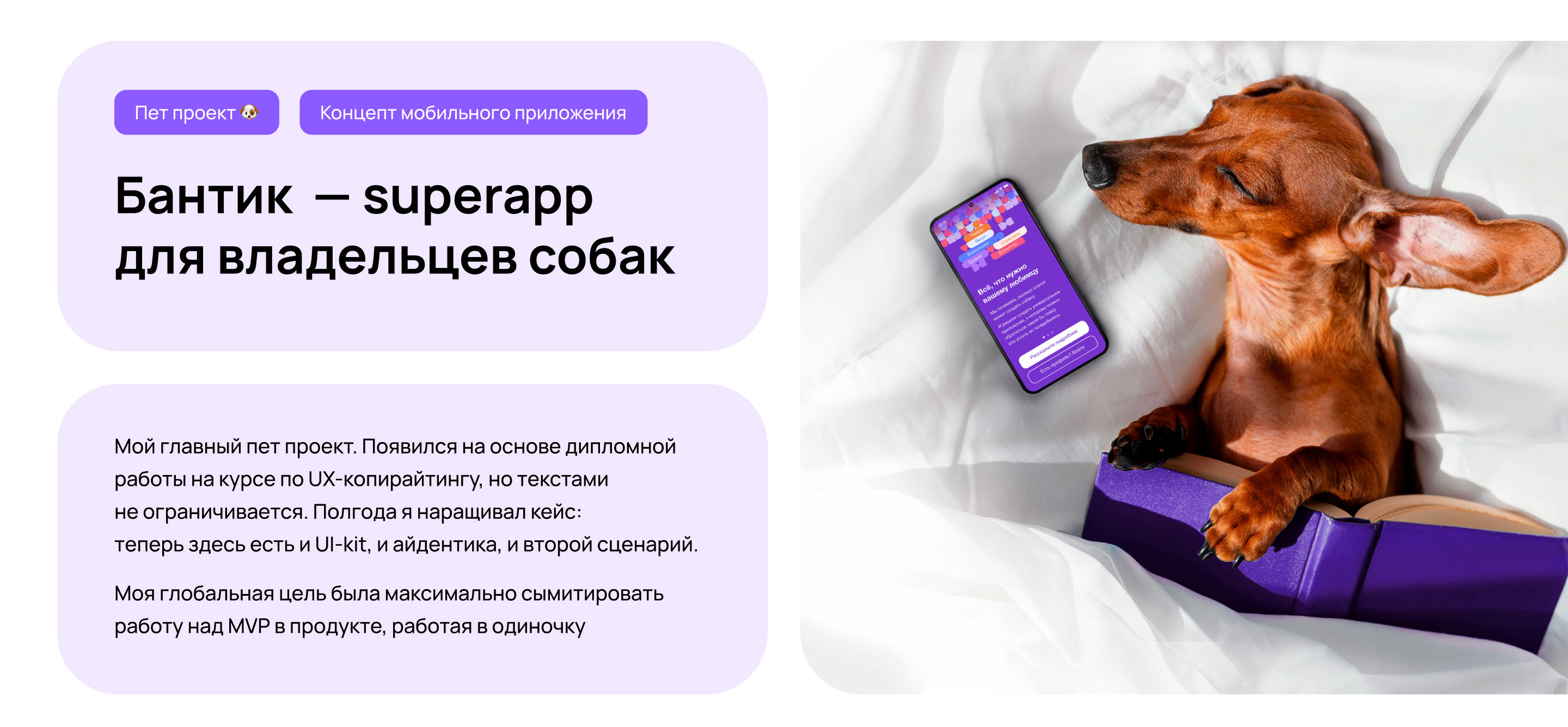 Бантик — superapp для владельцев собак | Mobile app UX/UI — Изображение №1 — Интерфейсы на Dprofile