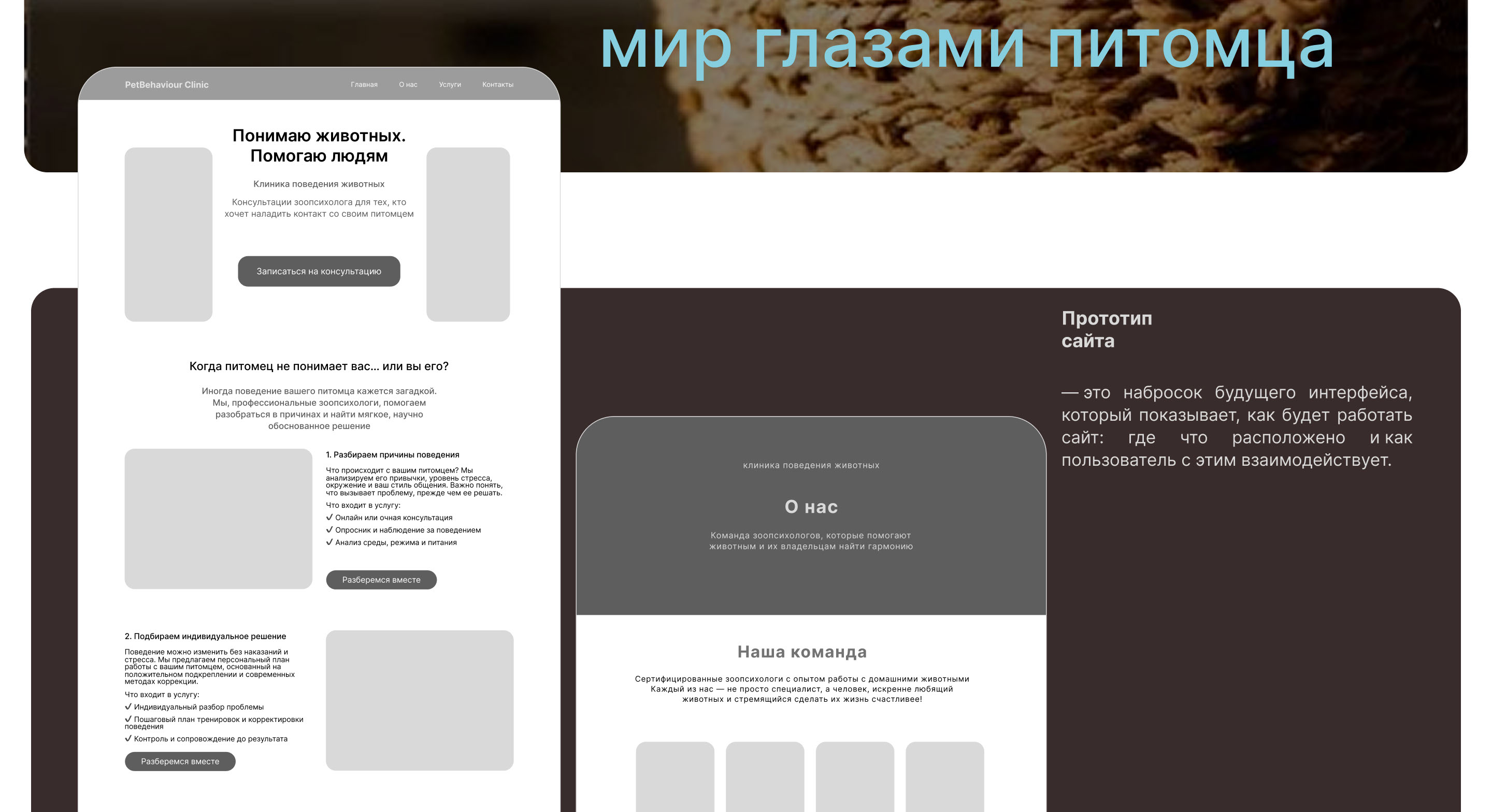 PetBehavior | Website for a zoo-psychological clinic — Изображение №5 — Интерфейсы, Брендинг на Dprofile