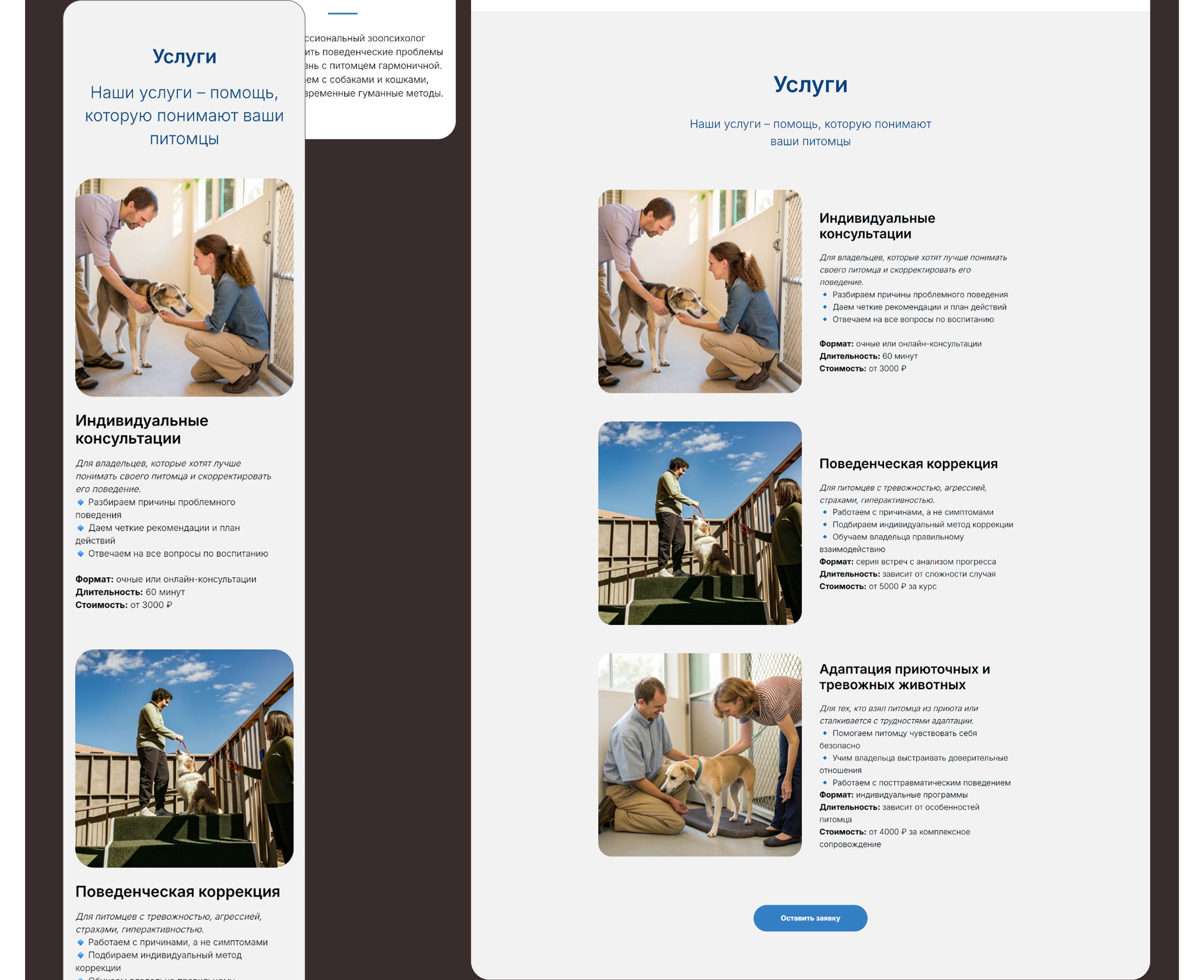 PetBehavior | Website for a zoo-psychological clinic — Изображение №14 — Интерфейсы, Брендинг на Dprofile
