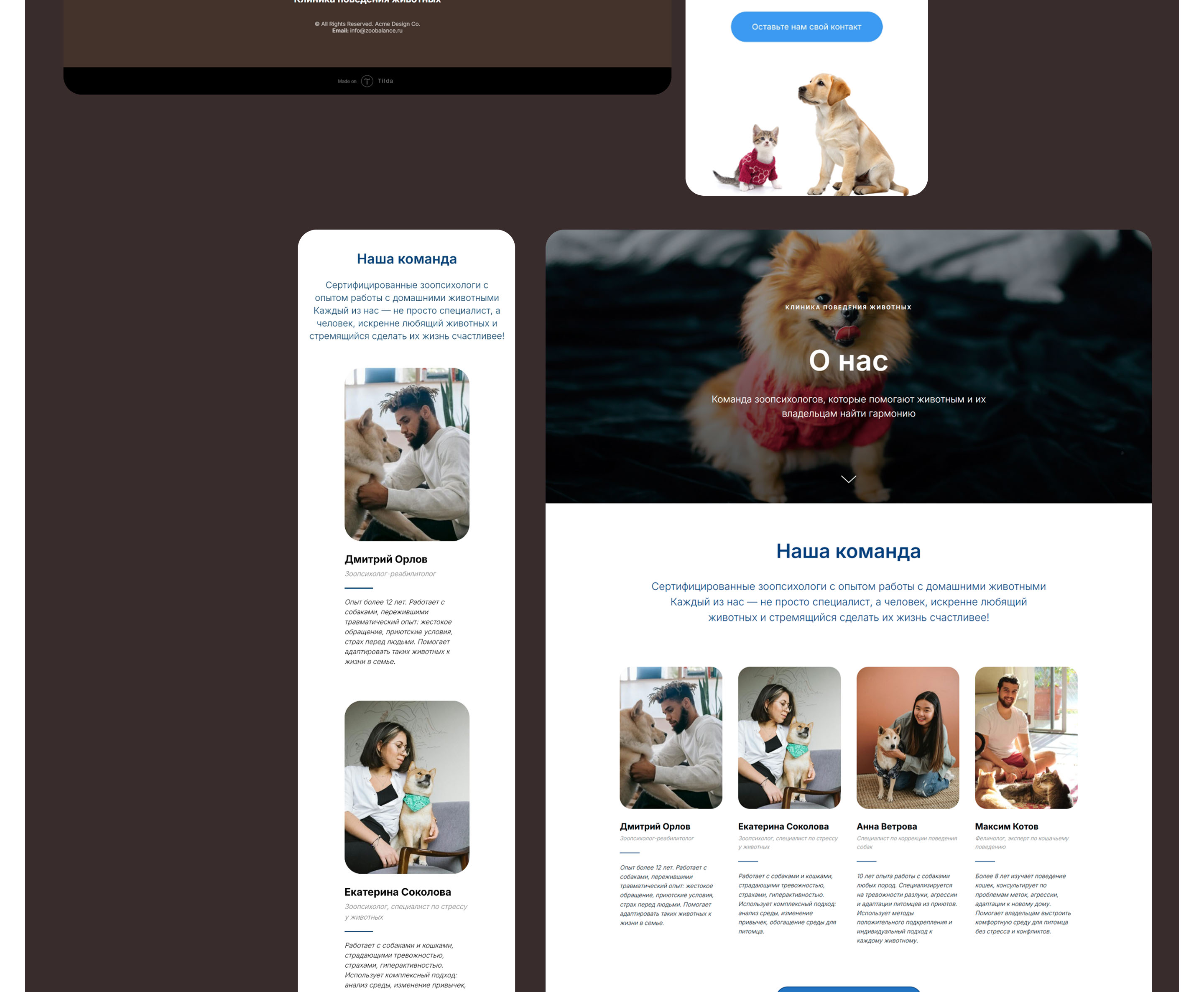 PetBehavior | Website for a zoo-psychological clinic — Изображение №9 — Интерфейсы, Брендинг на Dprofile