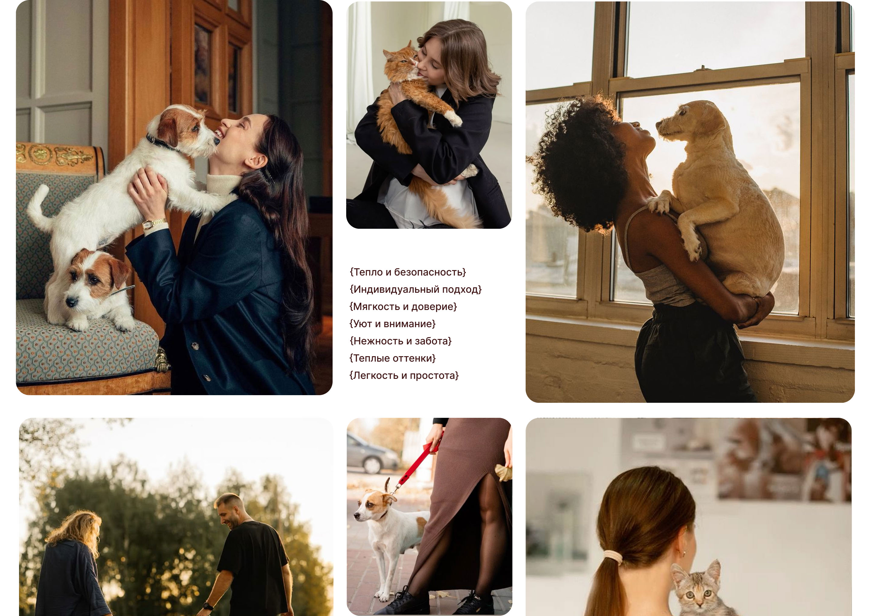 PetBehavior | Website for a zoo-psychological clinic — Изображение №3 — Интерфейсы, Брендинг на Dprofile