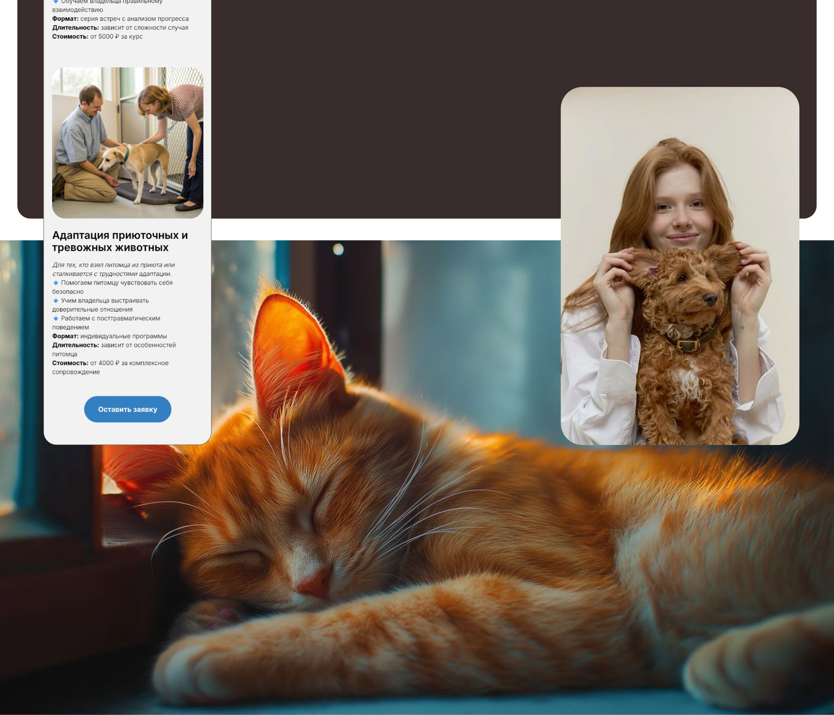 PetBehavior | Website for a zoo-psychological clinic — Изображение №15 — Интерфейсы, Брендинг на Dprofile