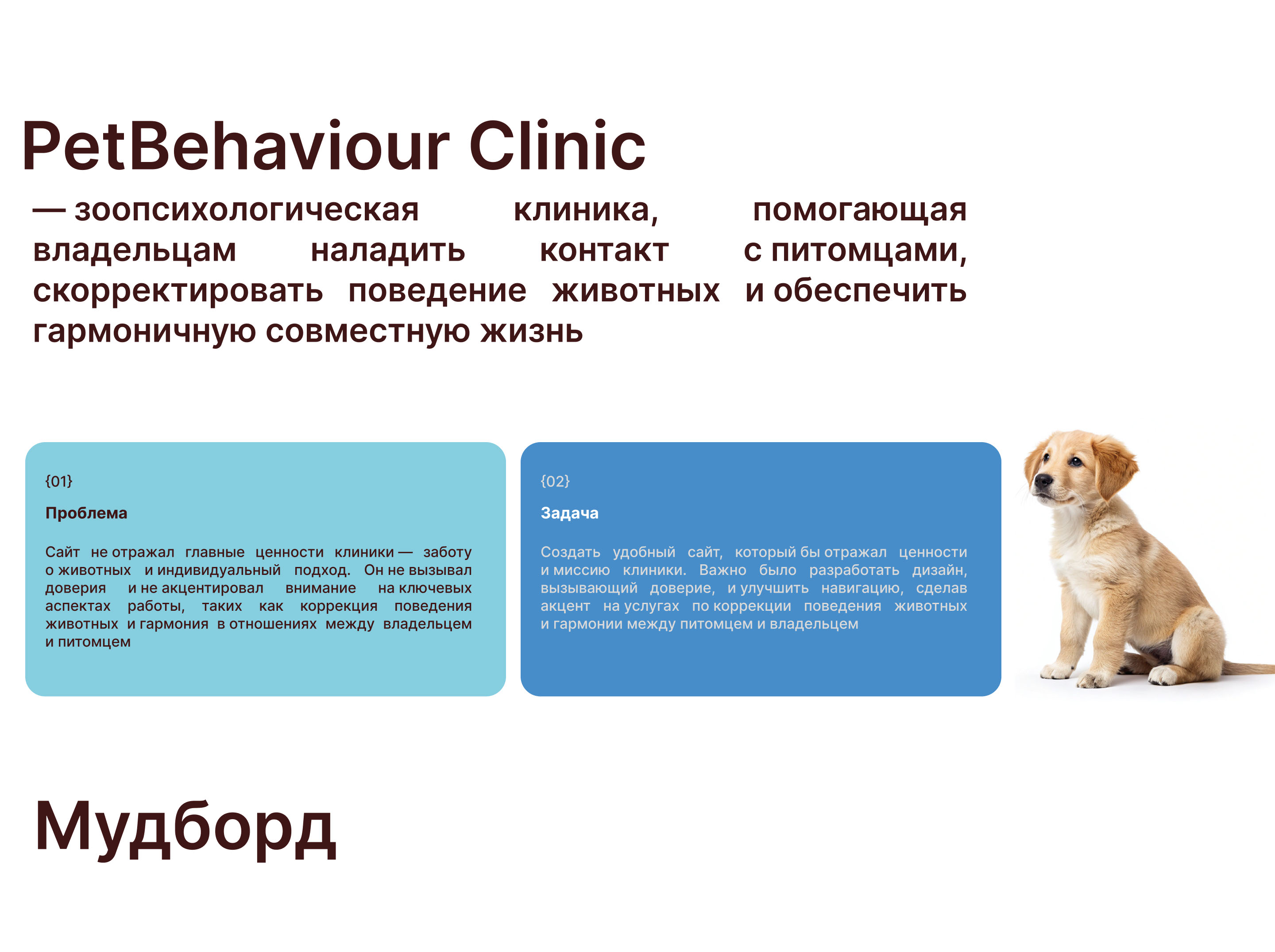 PetBehavior | Website for a zoo-psychological clinic — Изображение №2 — Интерфейсы, Брендинг на Dprofile