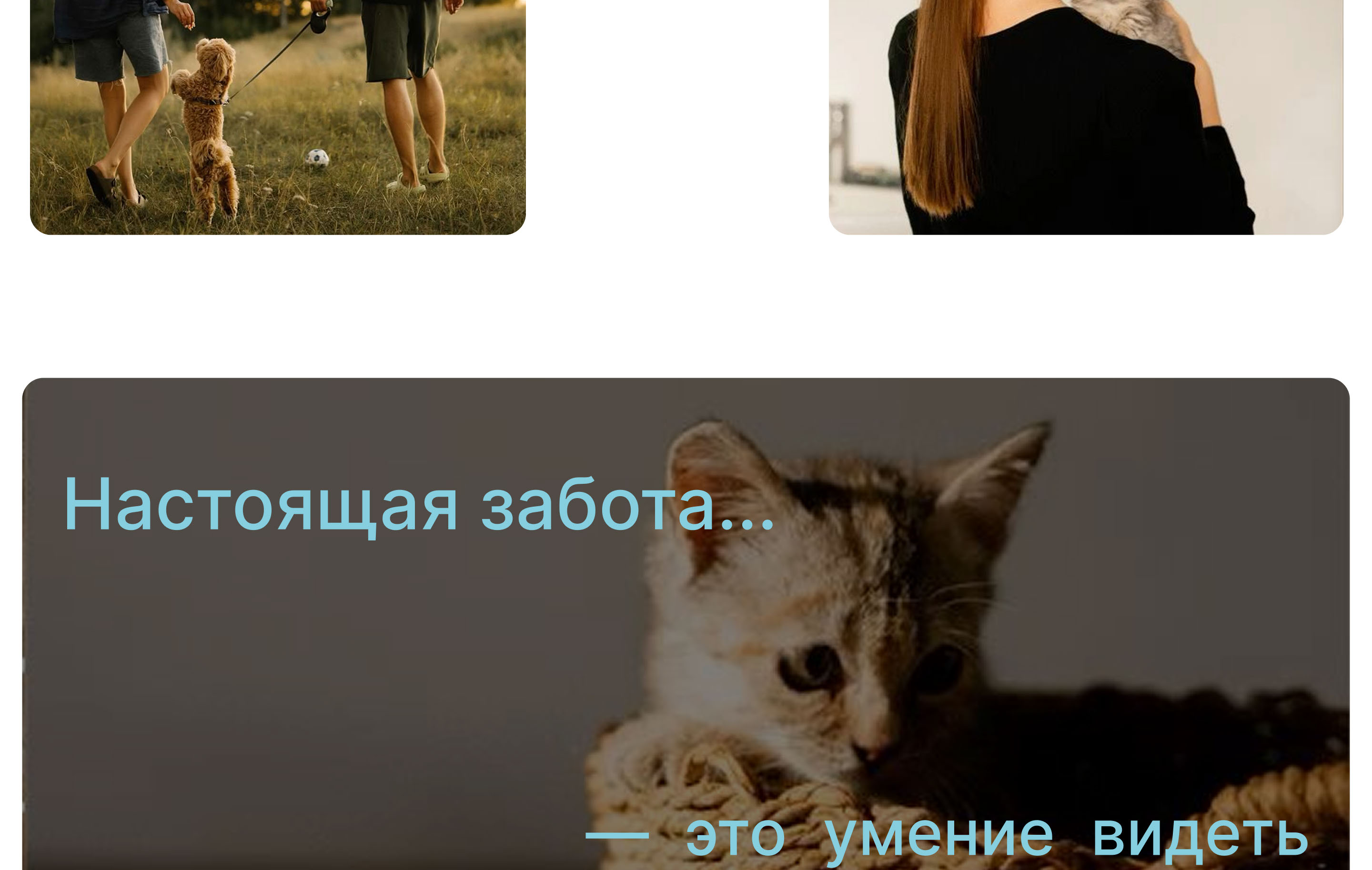 PetBehavior | Website for a zoo-psychological clinic — Изображение №4 — Интерфейсы, Брендинг на Dprofile