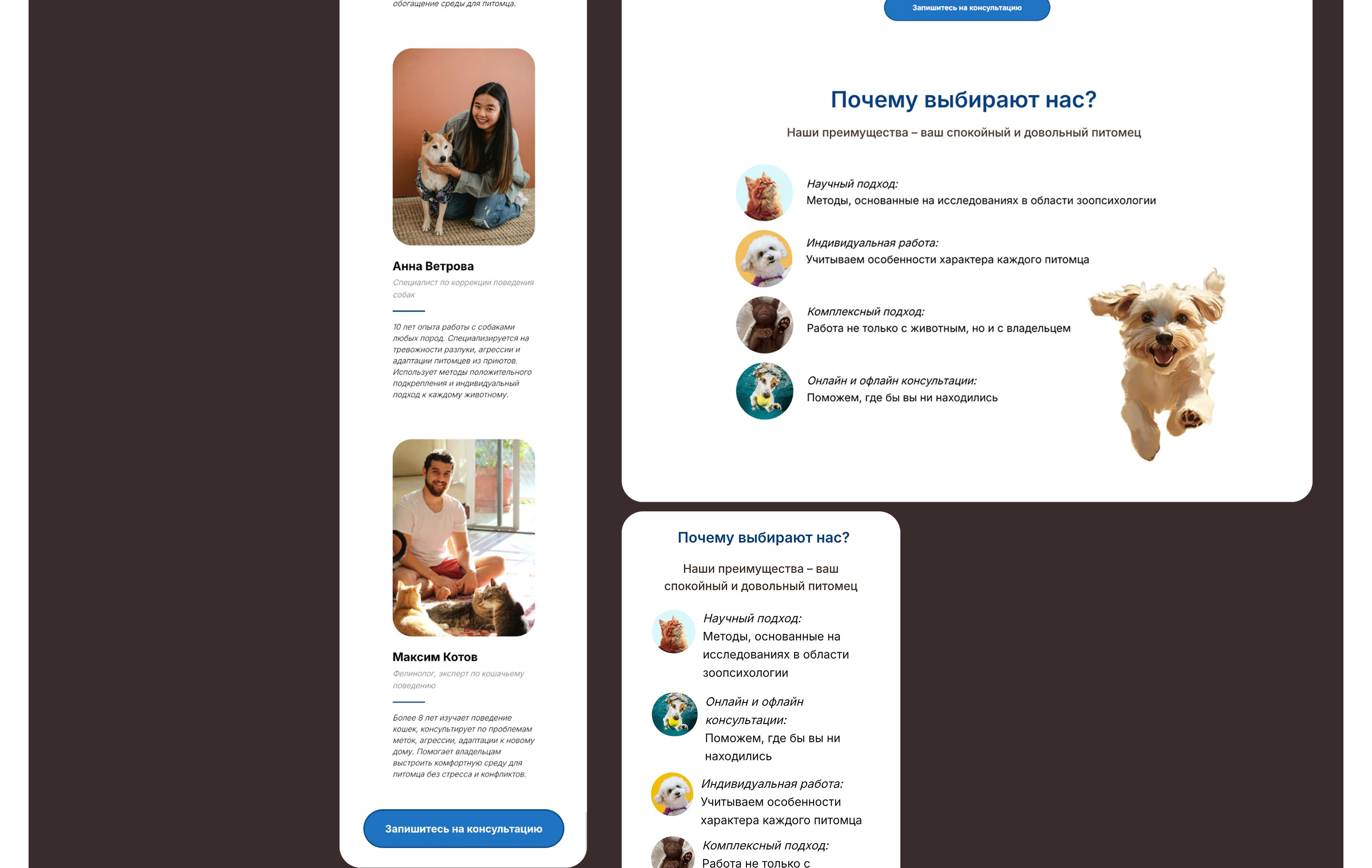 PetBehavior | Website for a zoo-psychological clinic — Изображение №10 — Интерфейсы, Брендинг на Dprofile