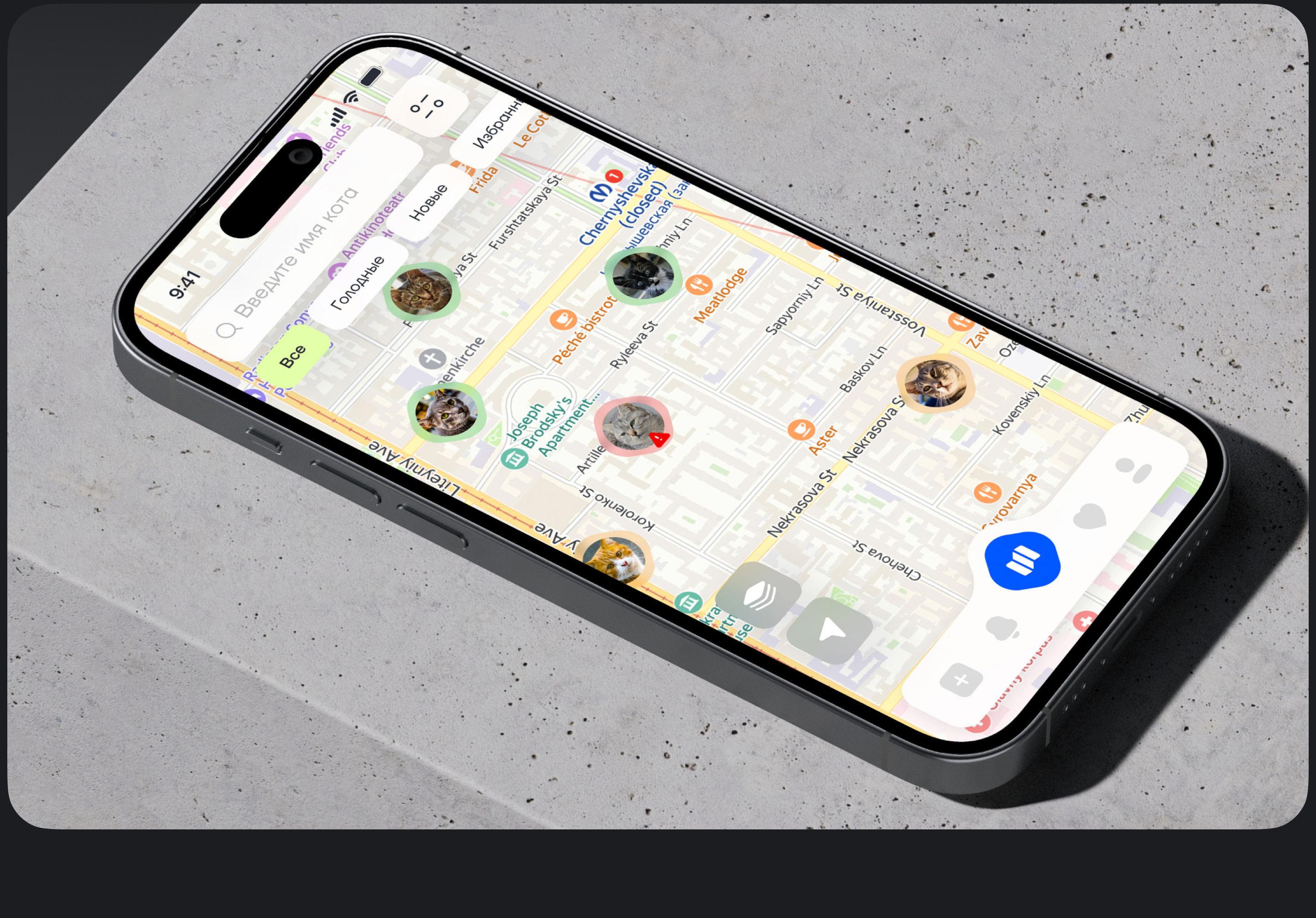 Где Мяу | Stray Cat Tracking App | UI/UX | 3D — Изображение №4 — Интерфейсы, 3D на Dprofile