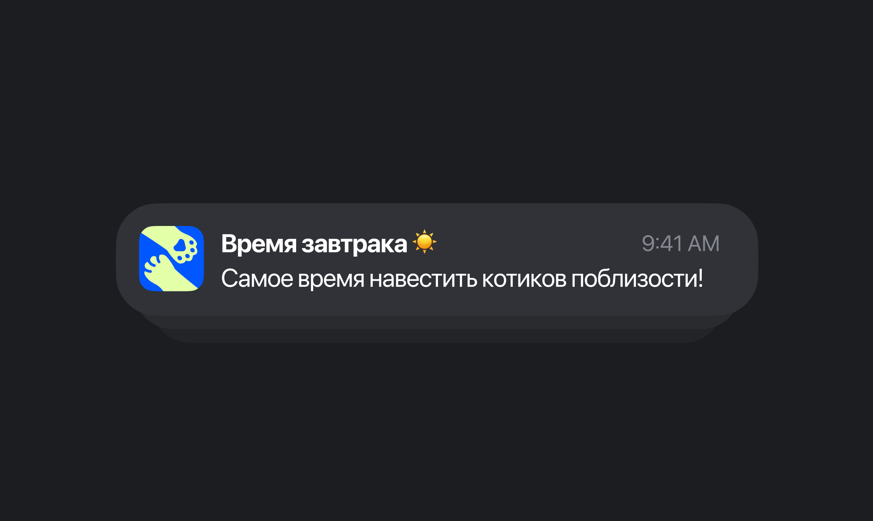 Где Мяу | Stray Cat Tracking App | UI/UX | 3D — Изображение №10 — Интерфейсы, 3D на Dprofile