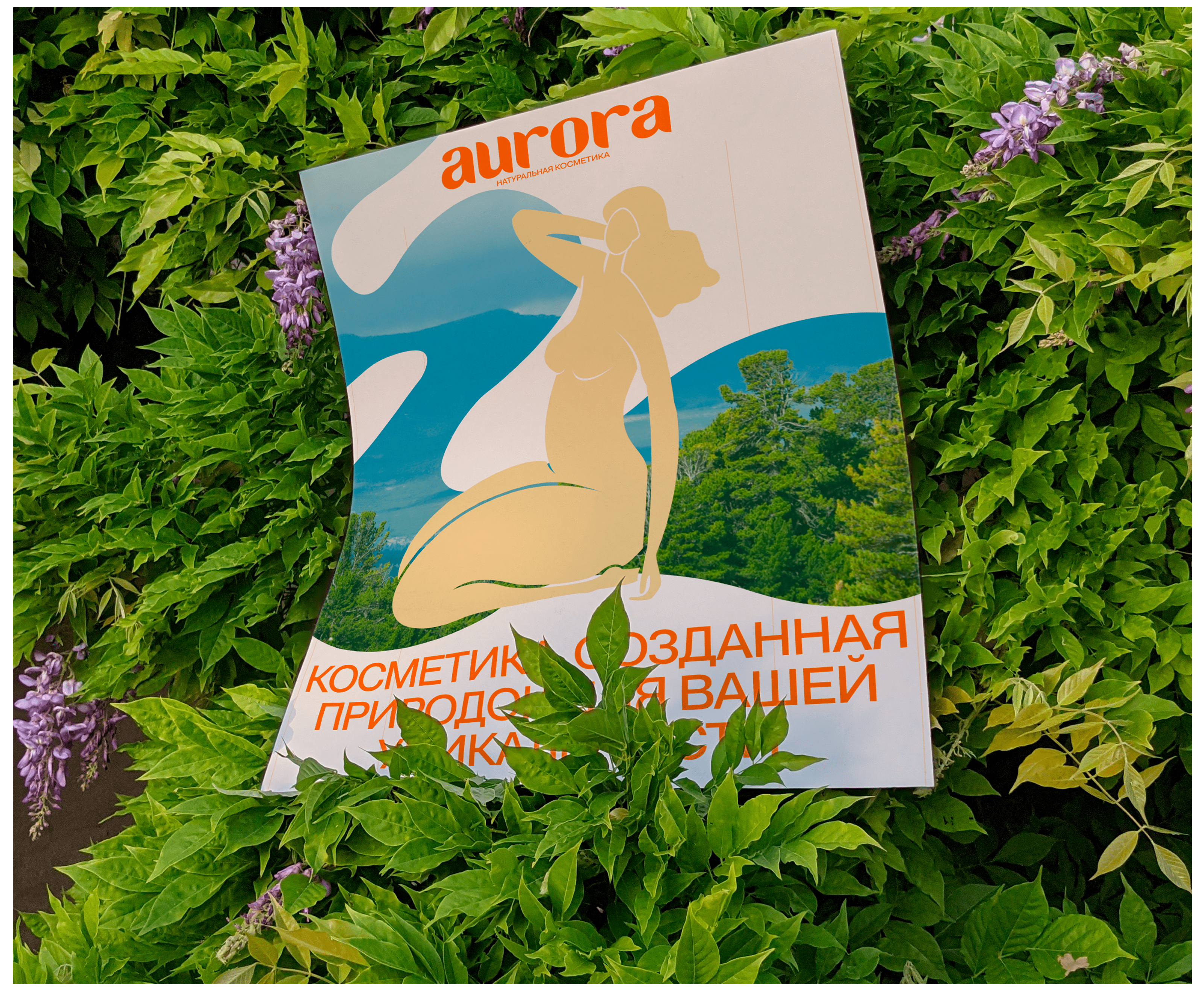 Aurora — Изображение №18 — Брендинг на Dprofile