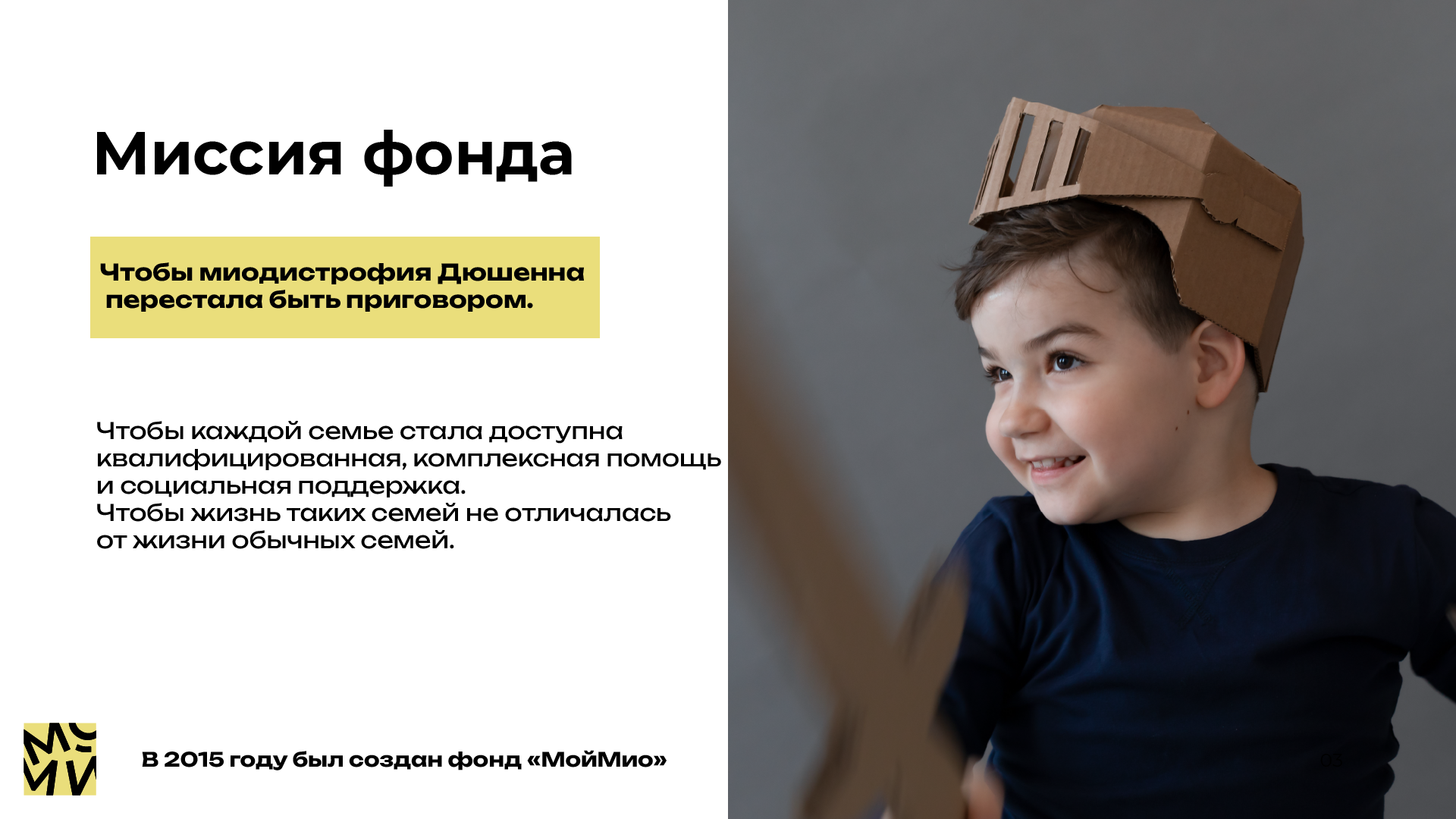 Дизайн презентации фонда "Мой мио" (Учебный проект) — Изображение №3 — Графика, Маркетинг на Dprofile