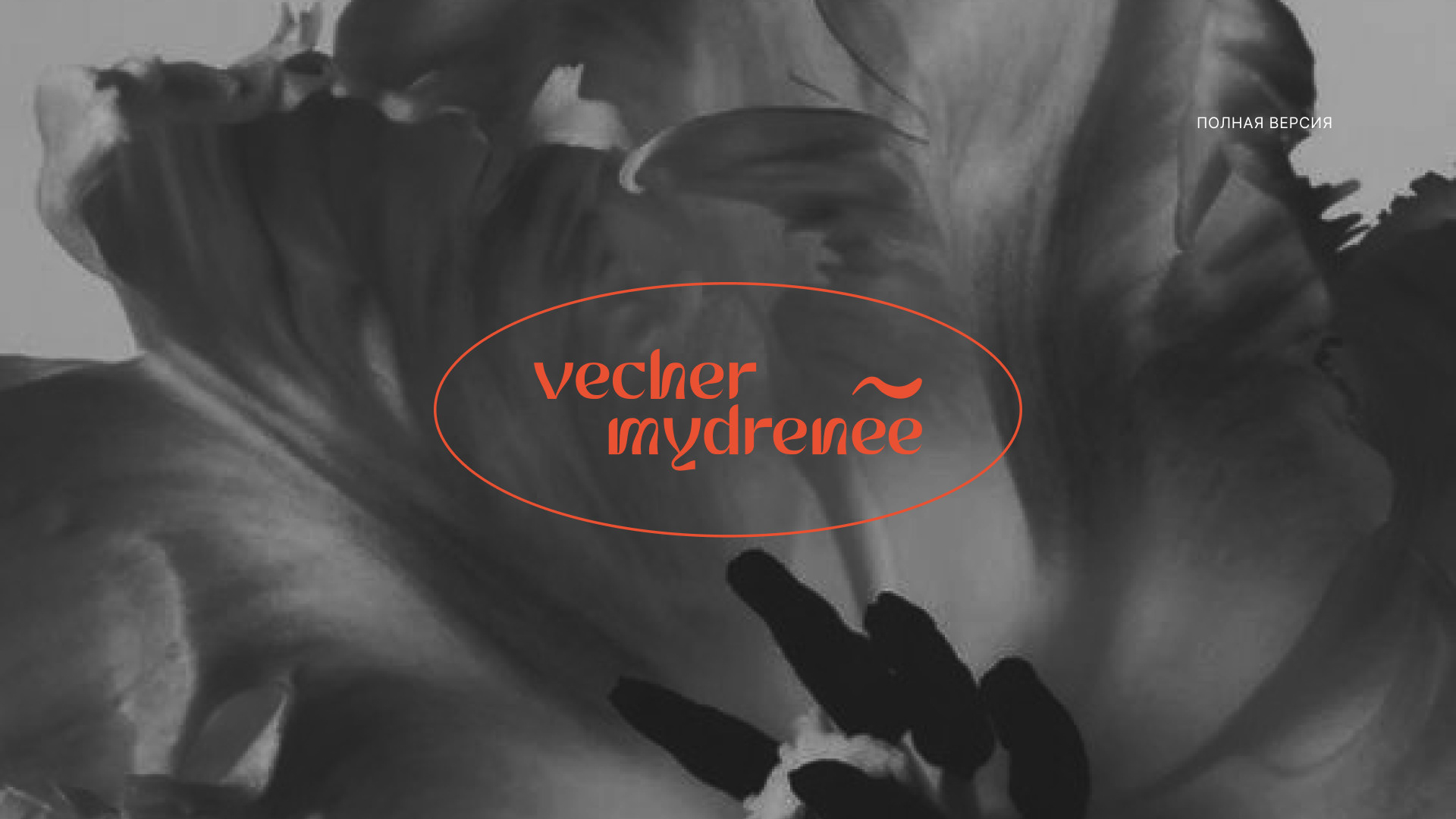 Logotype "vecher mydrenee" — Изображение №7 — Брендинг, Графика на Dprofile