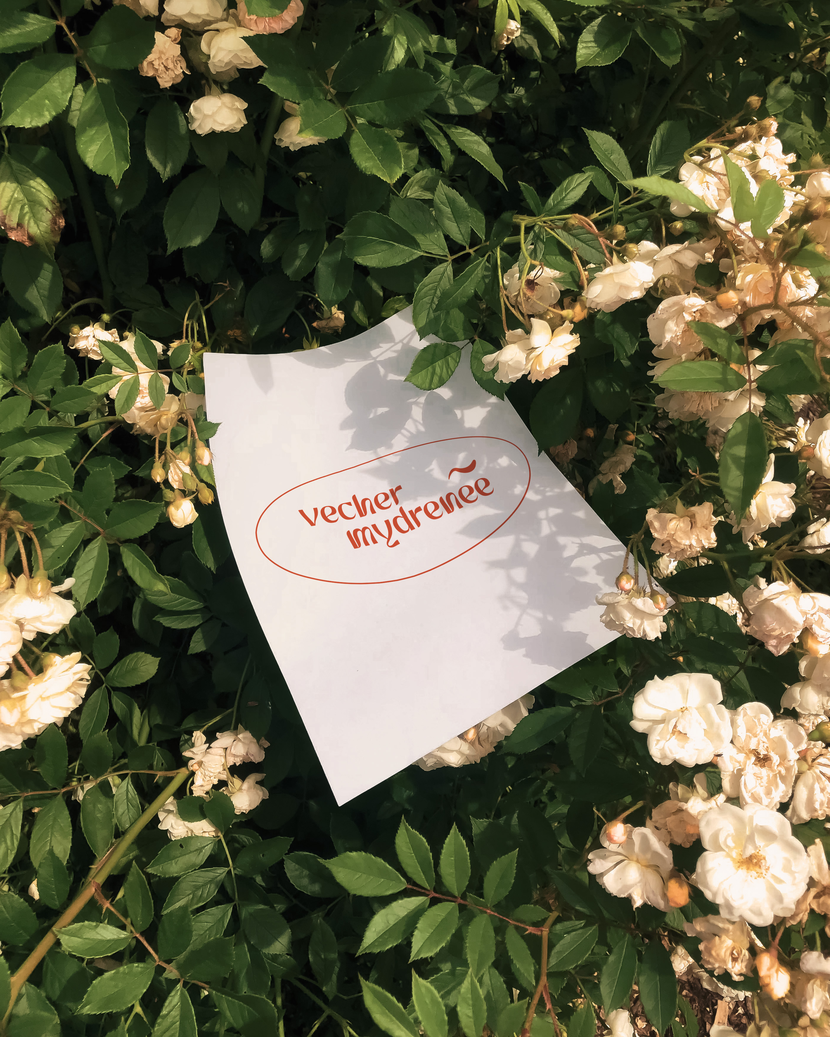 Logotype "vecher mydrenee" — Изображение №1 — Брендинг, Графика на Dprofile