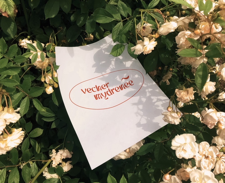 Logotype "vecher mydrenee" на Dprofile