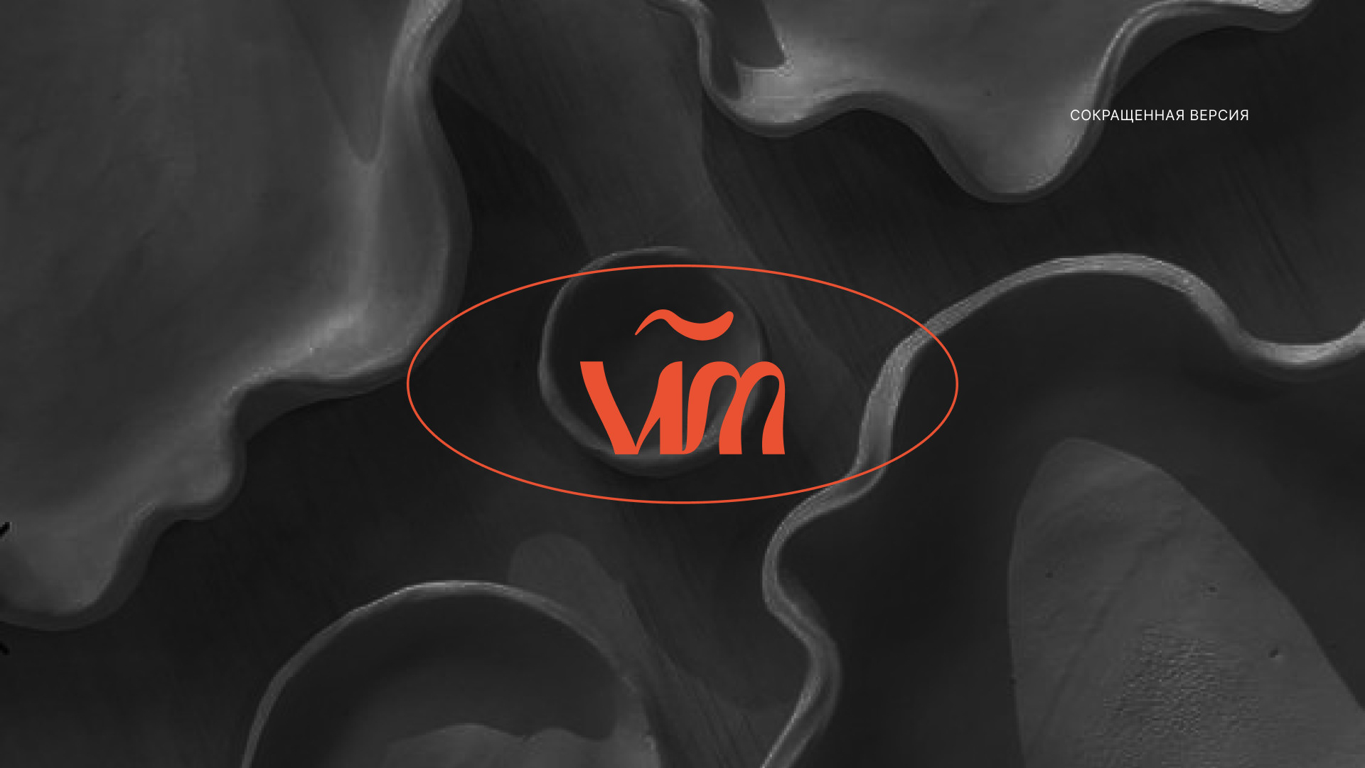 Logotype "vecher mydrenee" — Изображение №8 — Брендинг, Графика на Dprofile