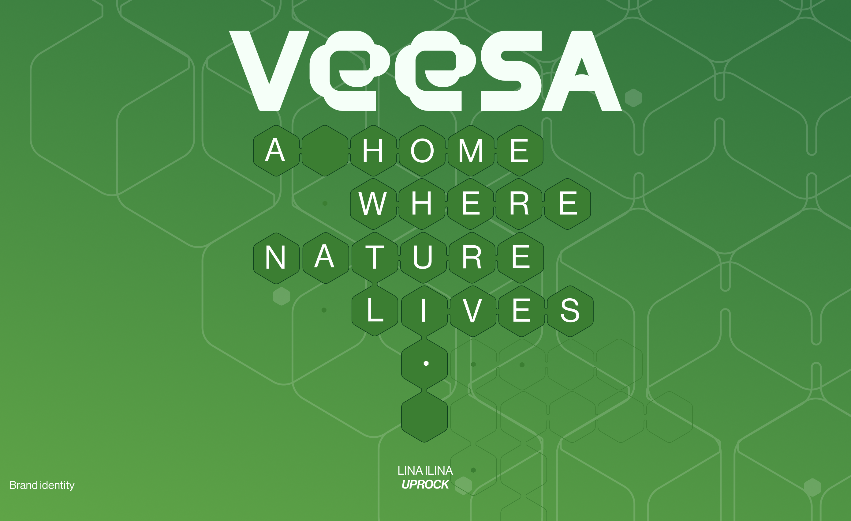 Айдентика для бренда VEESA — Изображение №1 — Брендинг на Dprofile