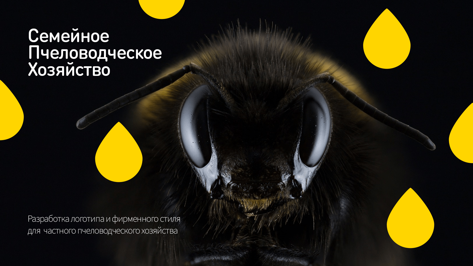 Family beekeeping — Изображение №1 — Брендинг на Dprofile