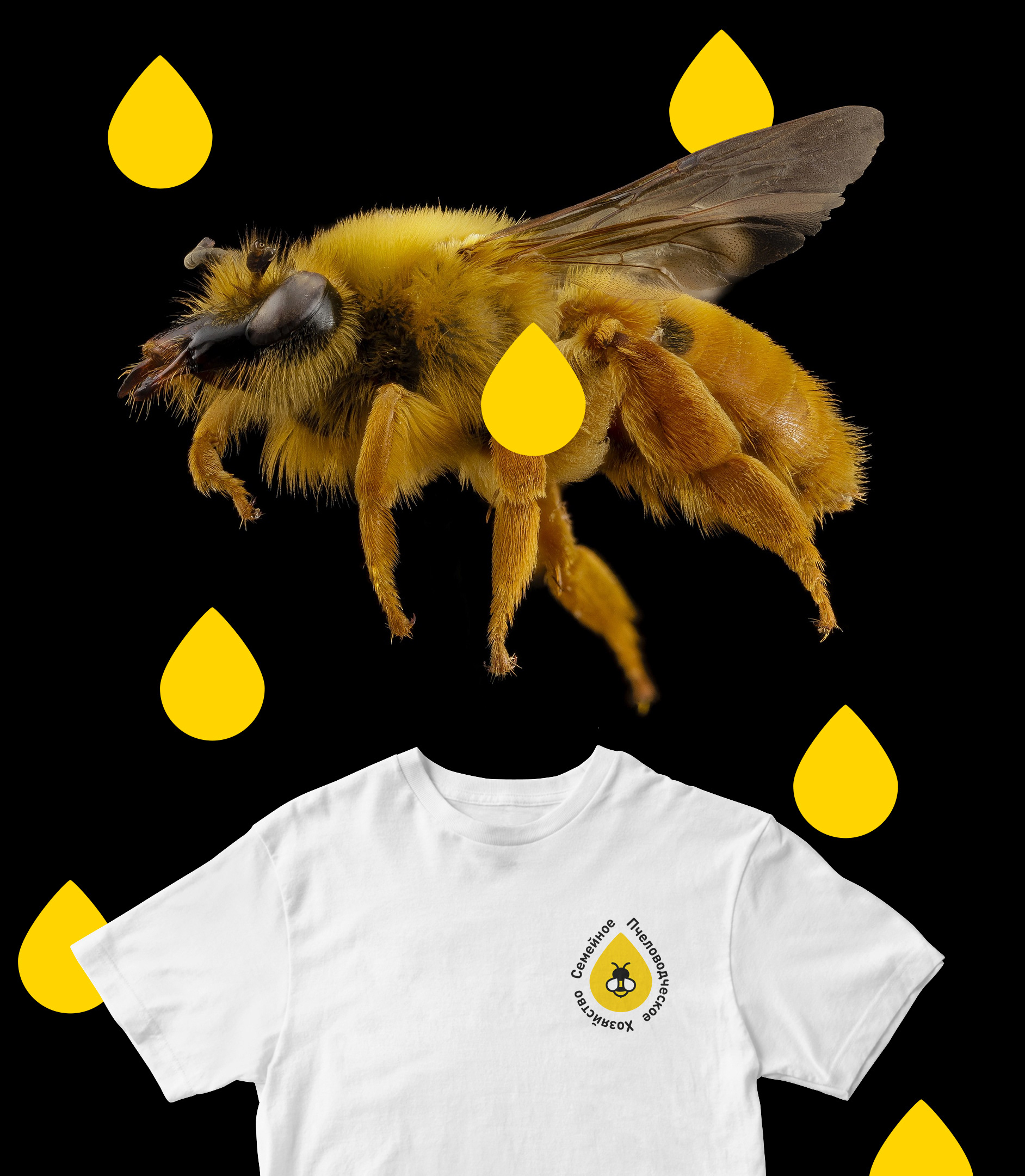 Family beekeeping — Изображение №8 — Брендинг на Dprofile