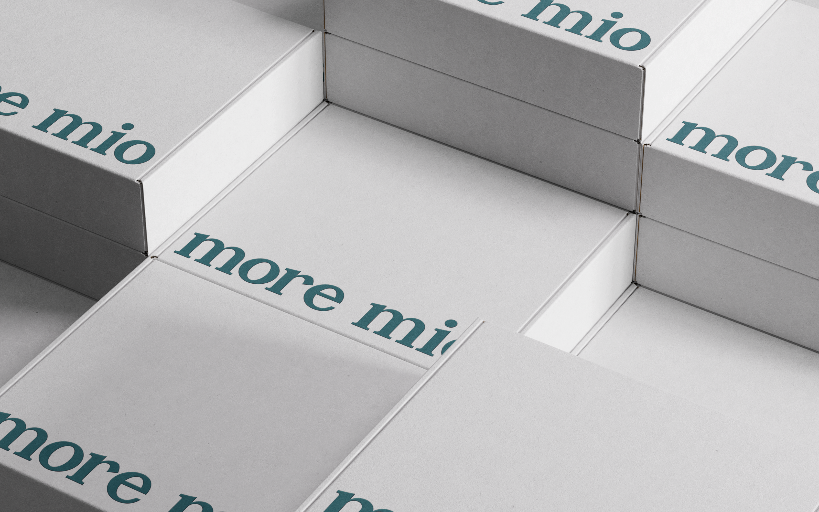 More Mio | Visual Identity for clothing brand — Изображение №4 — Брендинг на Dprofile