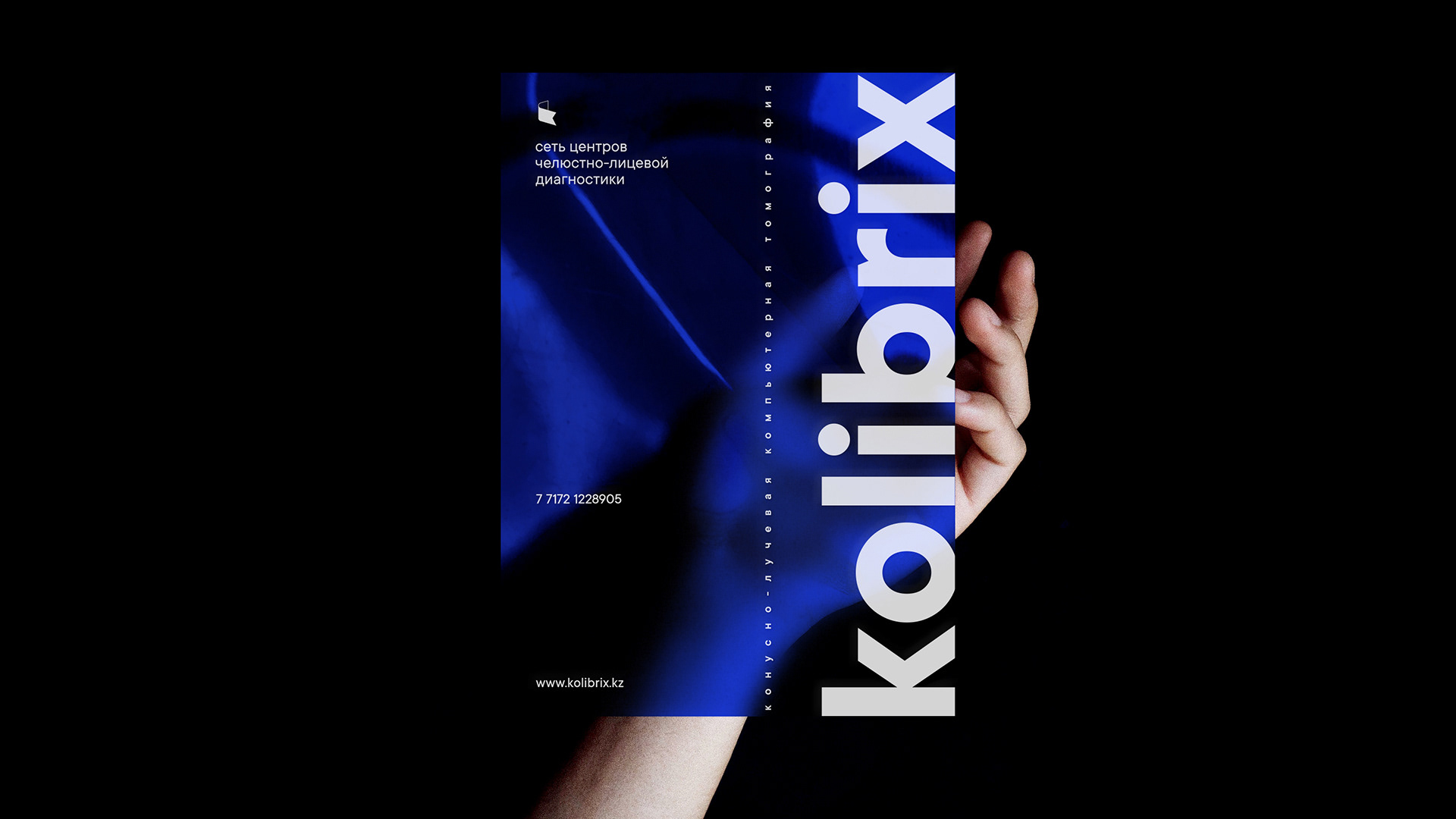 Kolibrix. Брендинг — Изображение №1 — Брендинг, Графика на Dprofile