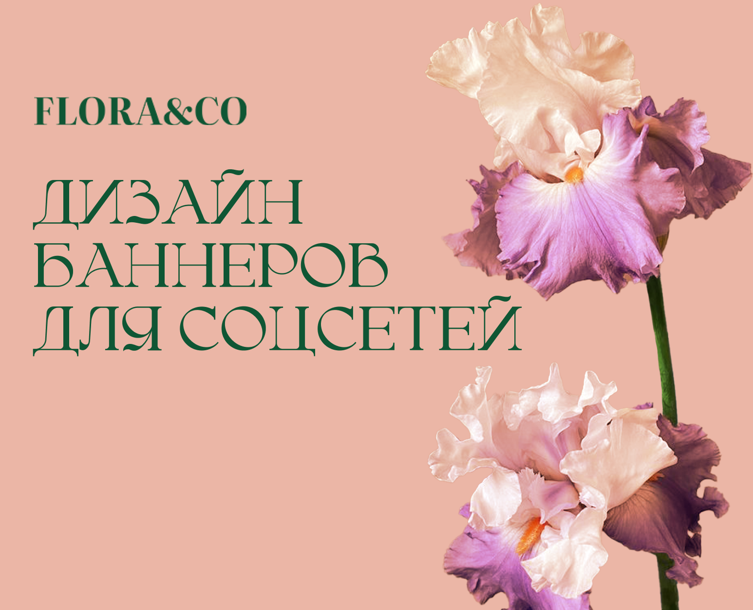 Дизайн баннеров для Flora&Co — Интерфейсы на Dprofile