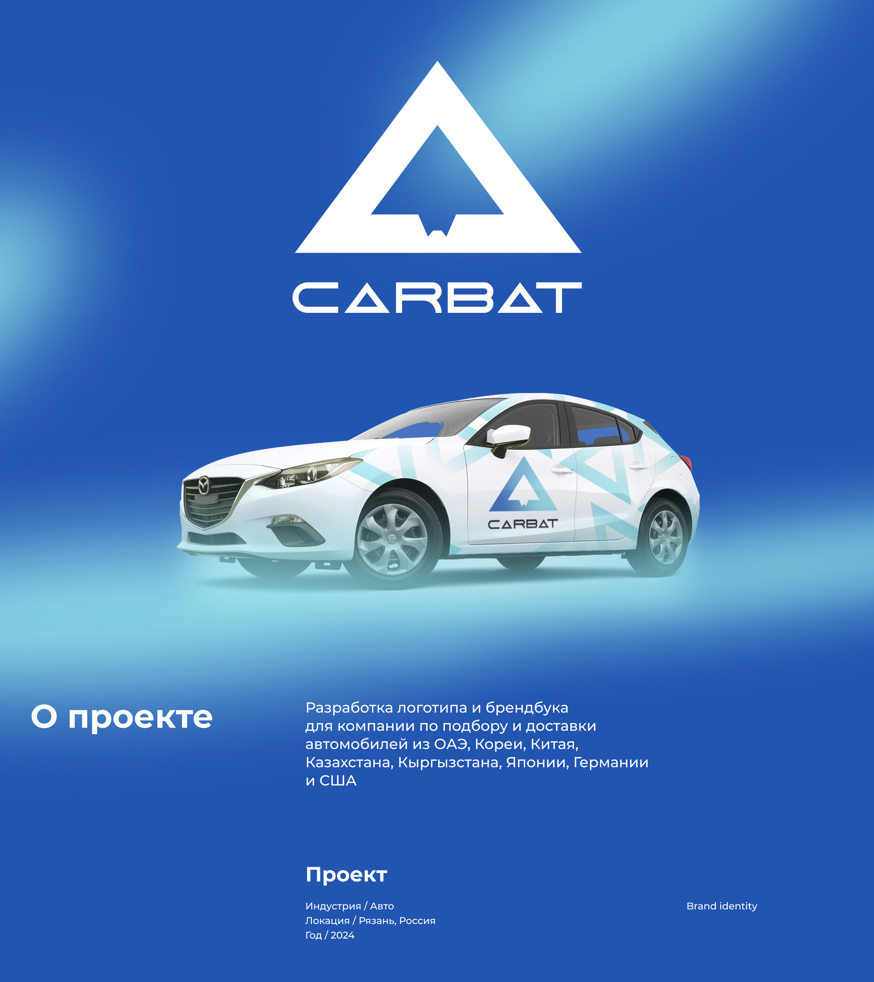 Carbat — Изображение №1 — Брендинг на Dprofile