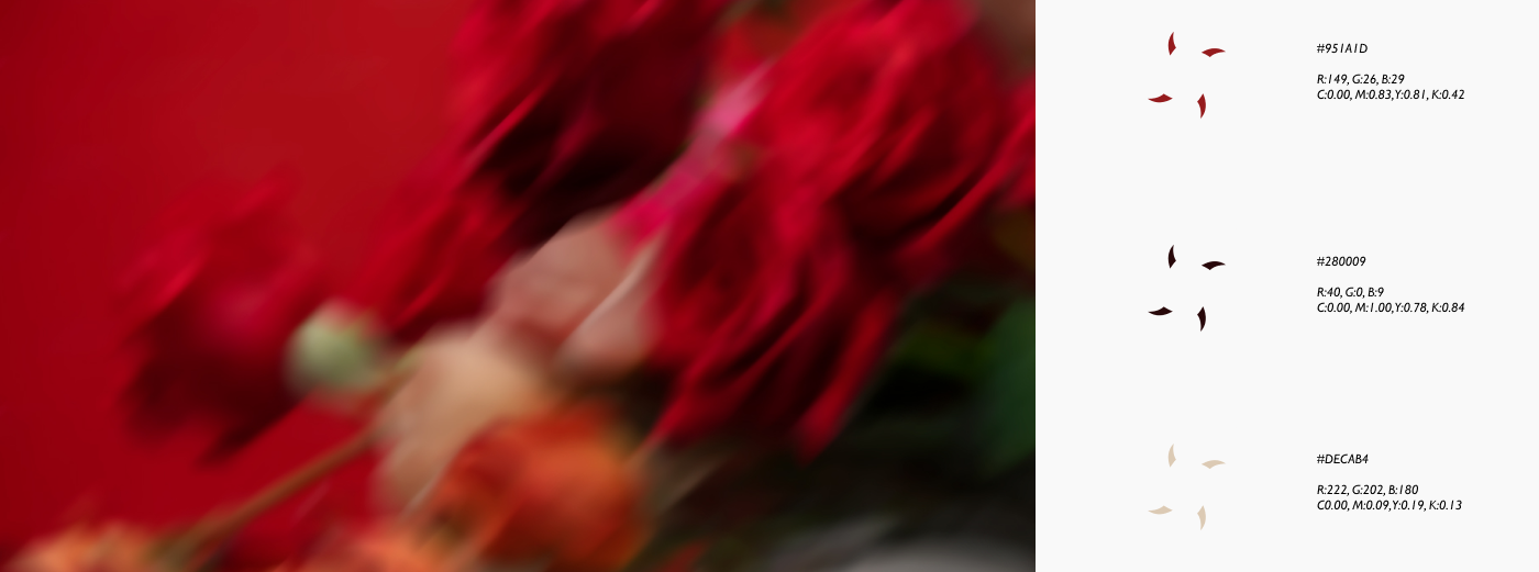 FLOWER SHOP BRAND IDENTITY — Изображение №7 — Брендинг на Dprofile