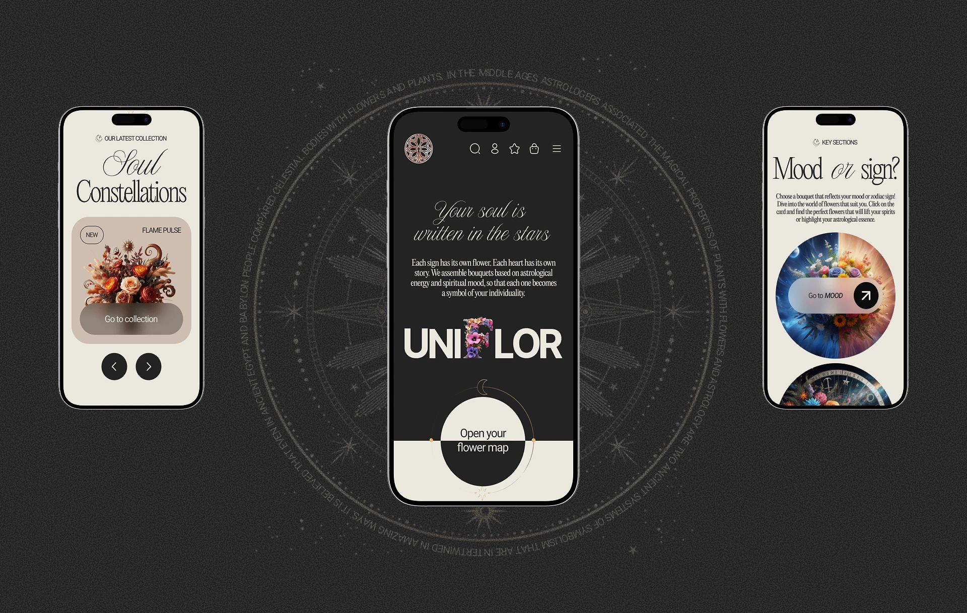 UNIFLOR | Online Store — Изображение №4 — Интерфейсы, Анимация на Dprofile