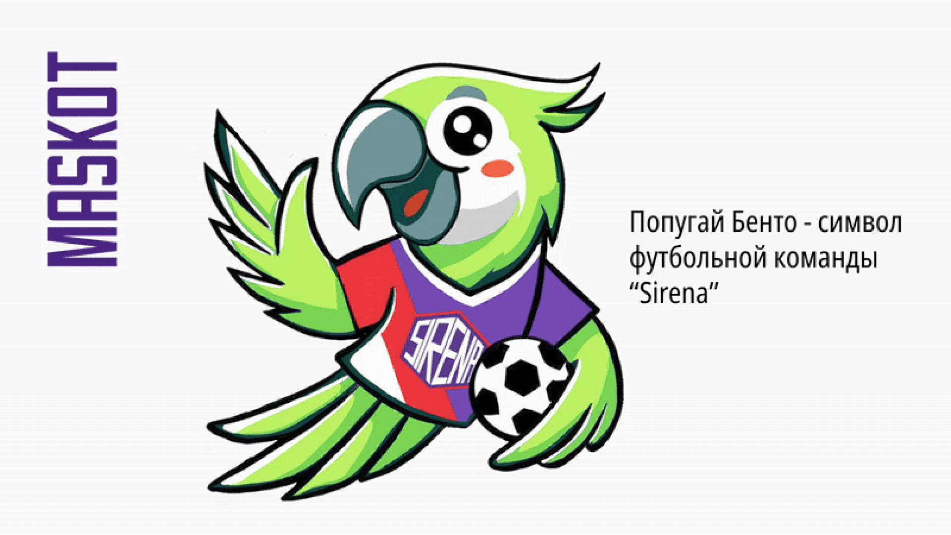 Фирменный стиль ФК "Sirena" — Изображение №12 — Брендинг на Dprofile