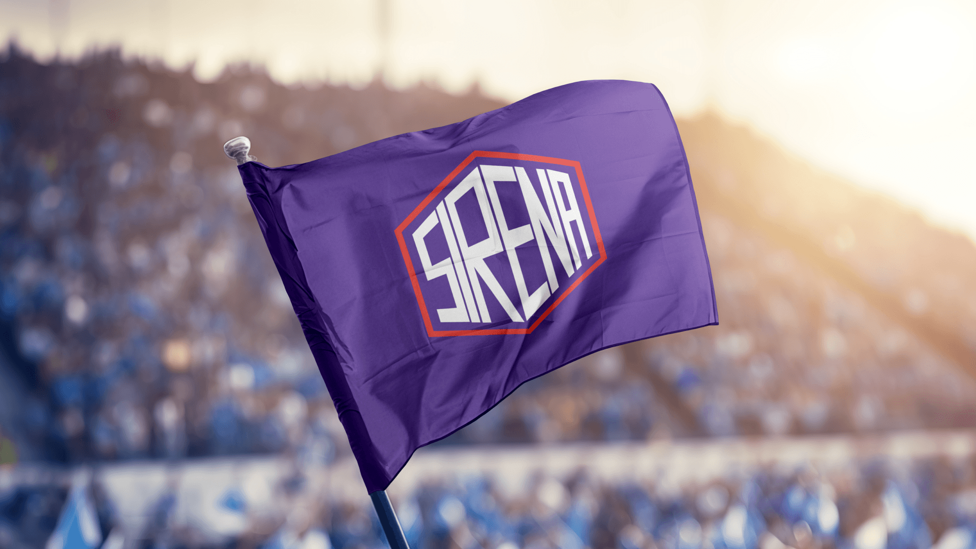 Фирменный стиль ФК "Sirena" — Изображение №1 — Брендинг на Dprofile