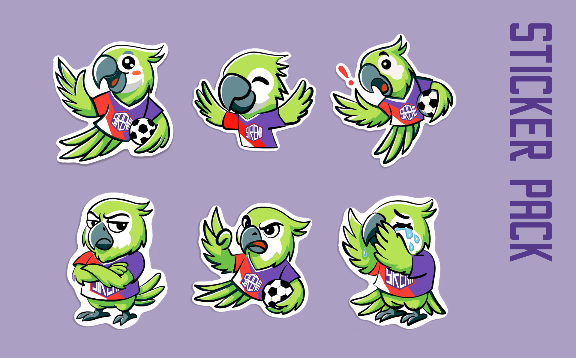 Фирменный стиль ФК "Sirena" — Изображение №13 — Брендинг на Dprofile