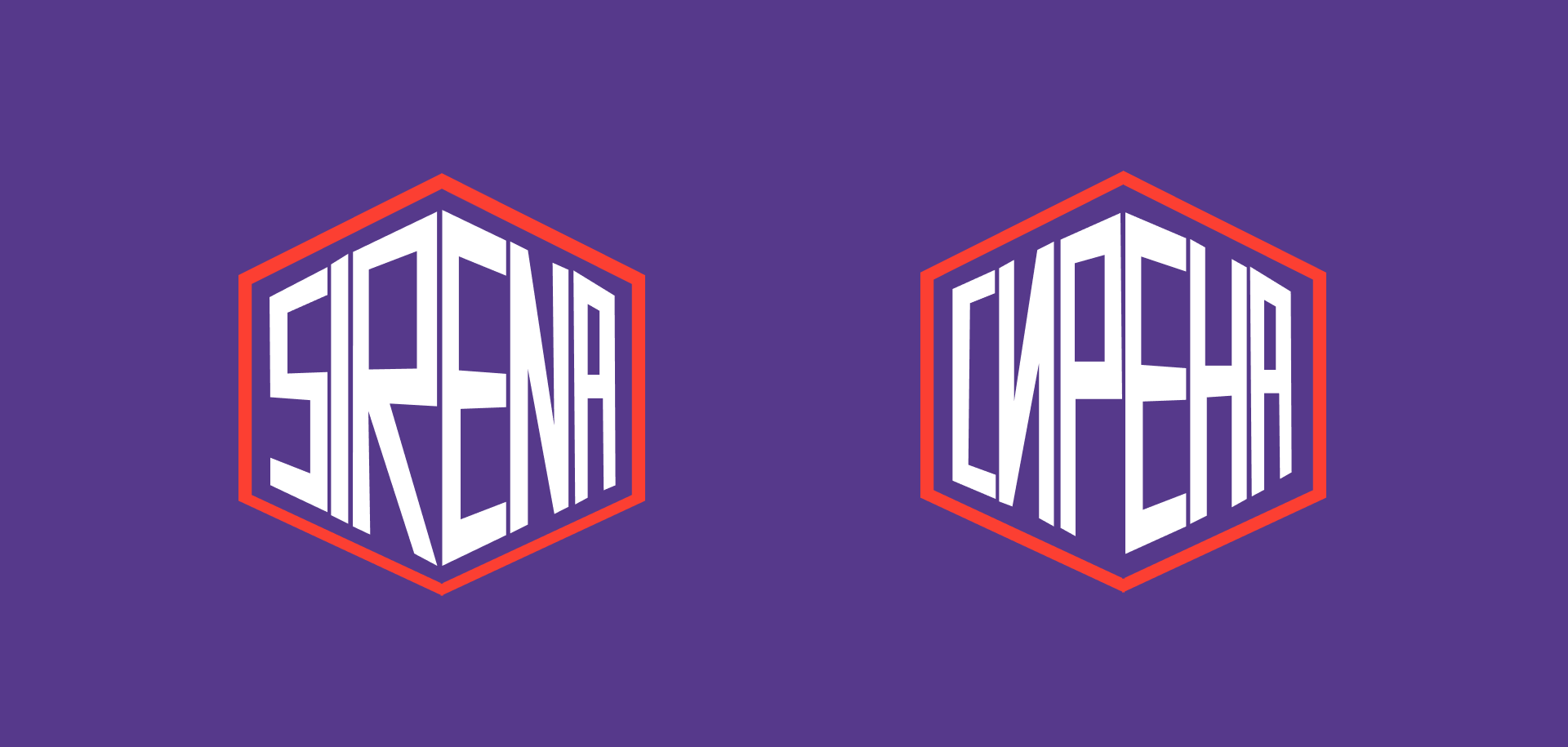 Фирменный стиль ФК "Sirena" — Изображение №6 — Брендинг на Dprofile