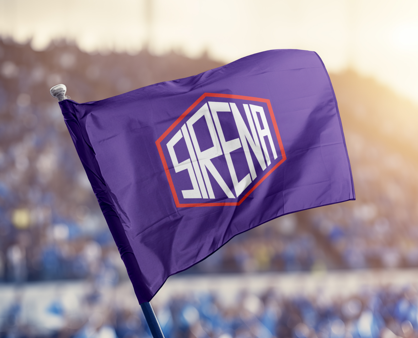 Фирменный стиль ФК "Sirena" — Брендинг на Dprofile