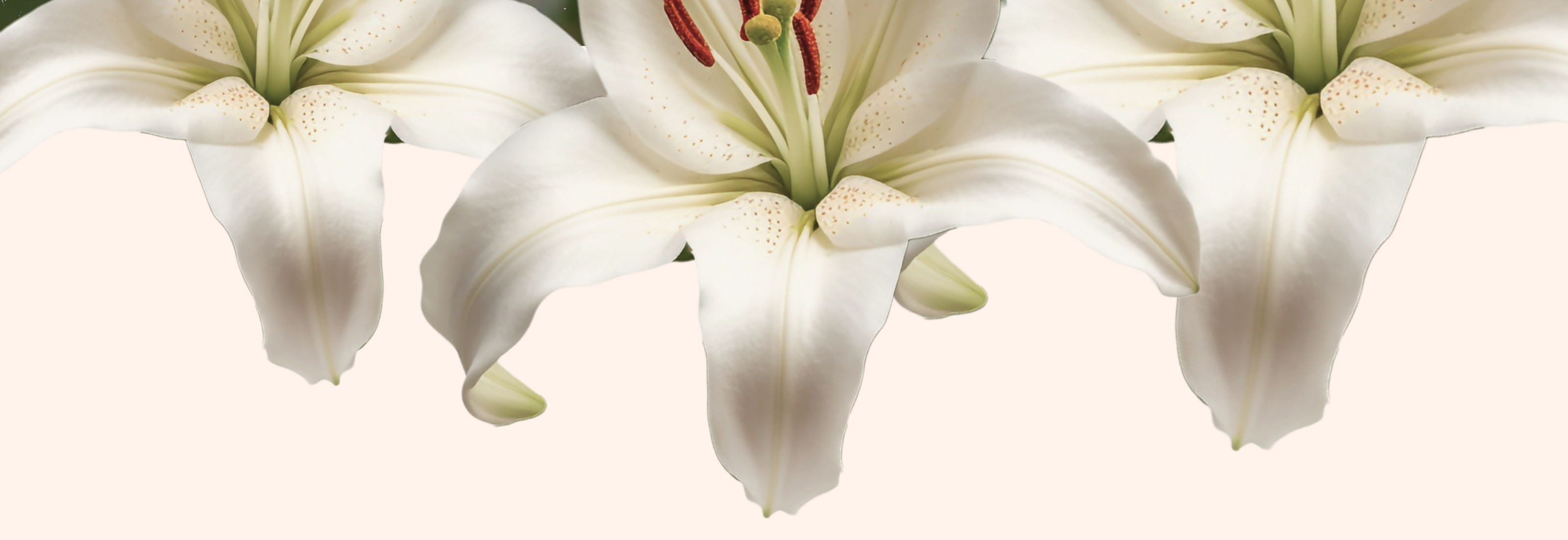 Свадебный таплинк | Свадебное пригласительное — Изображение №2 — Интерфейсы на Dprofile