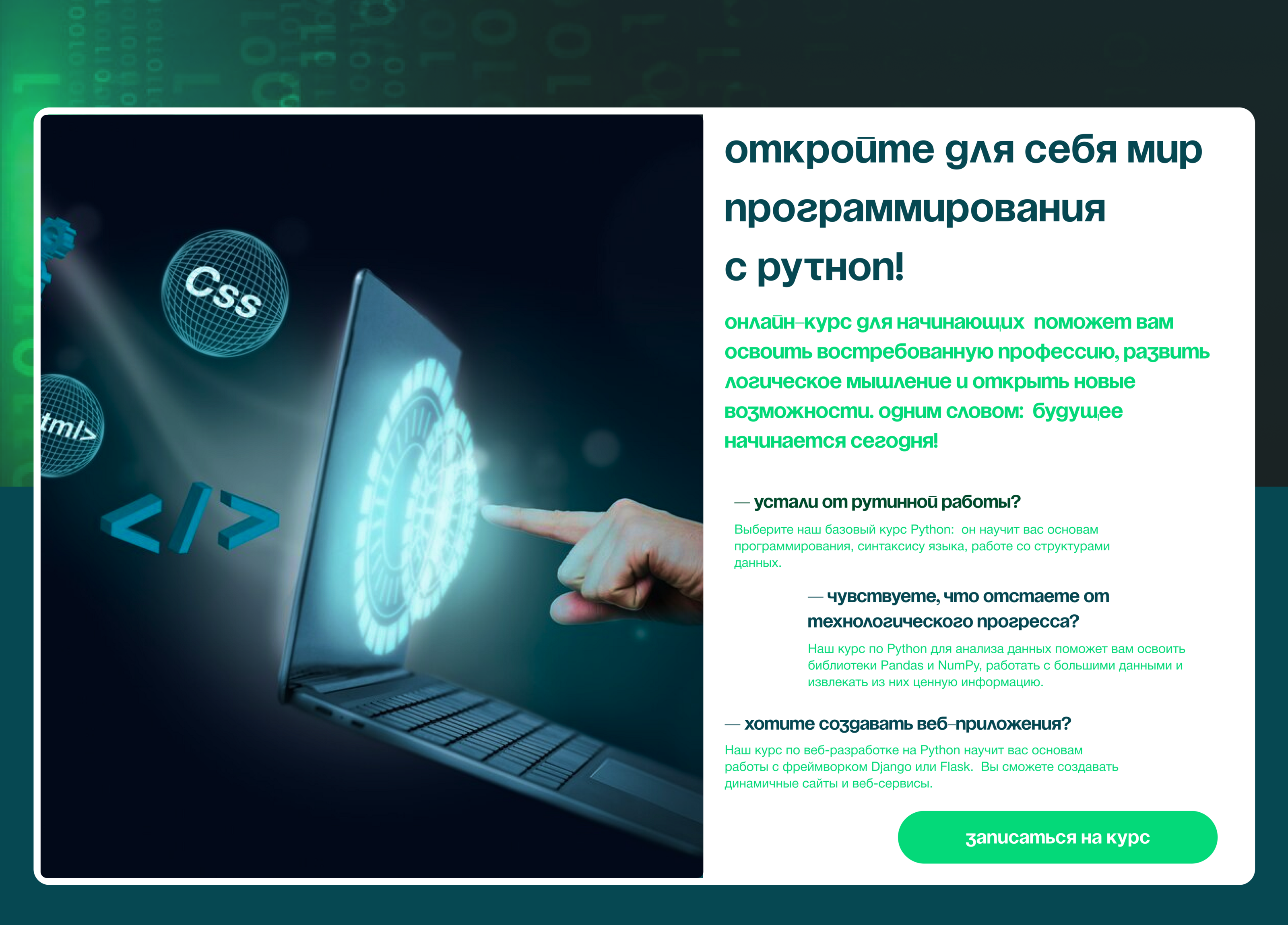 Таплинк для онлайн курса | Python — Изображение №3 — Интерфейсы на Dprofile