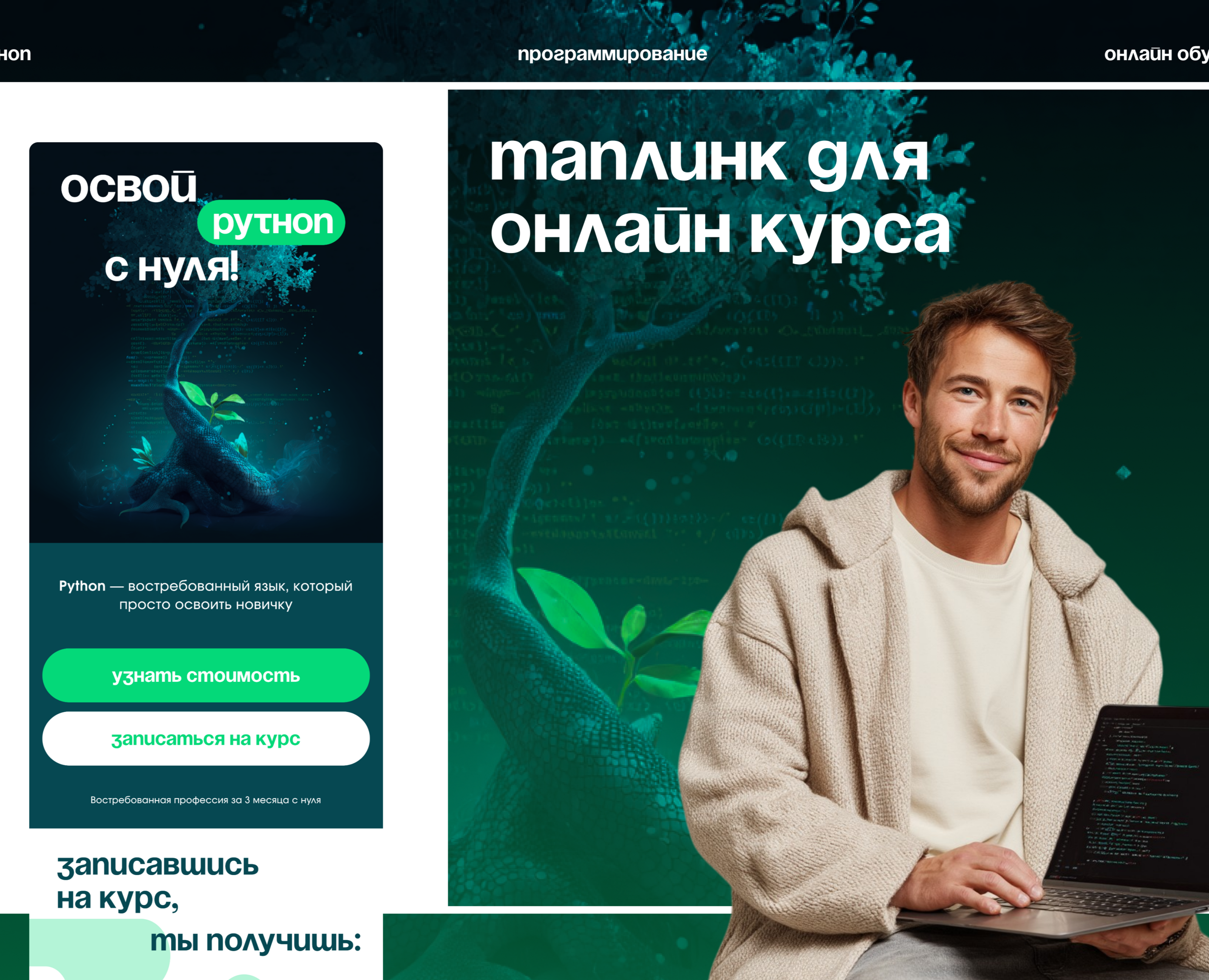 Таплинк для онлайн курса | Python — Интерфейсы на Dprofile