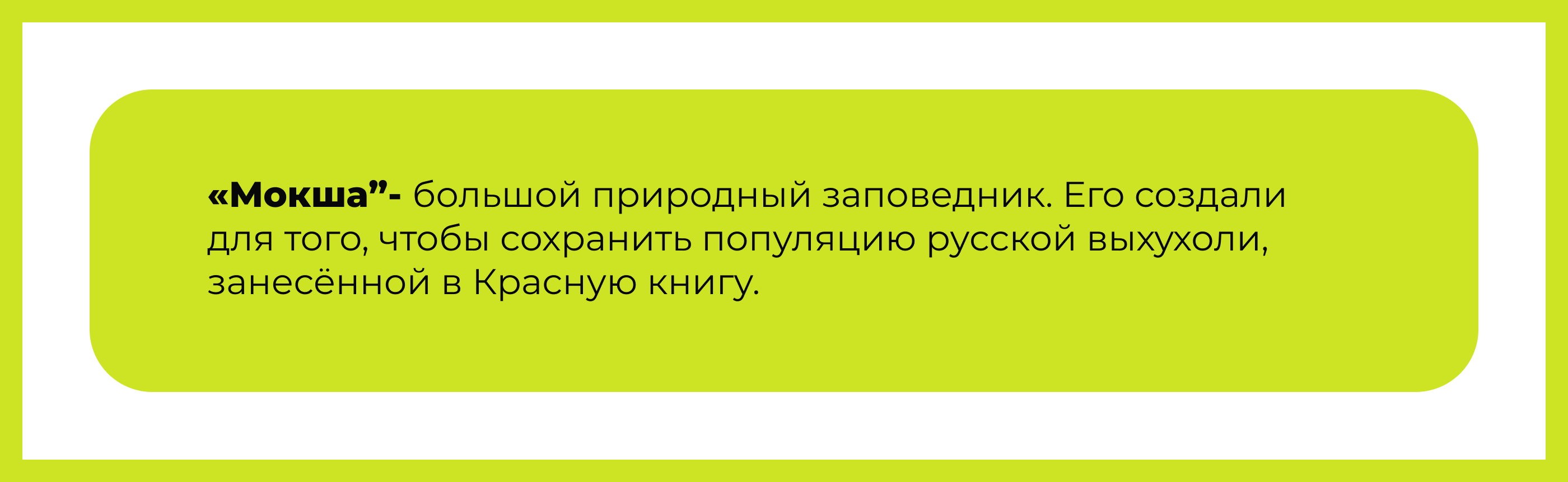 мерч для заповедника — Изображение №2 — Брендинг, Иллюстрация на Dprofile