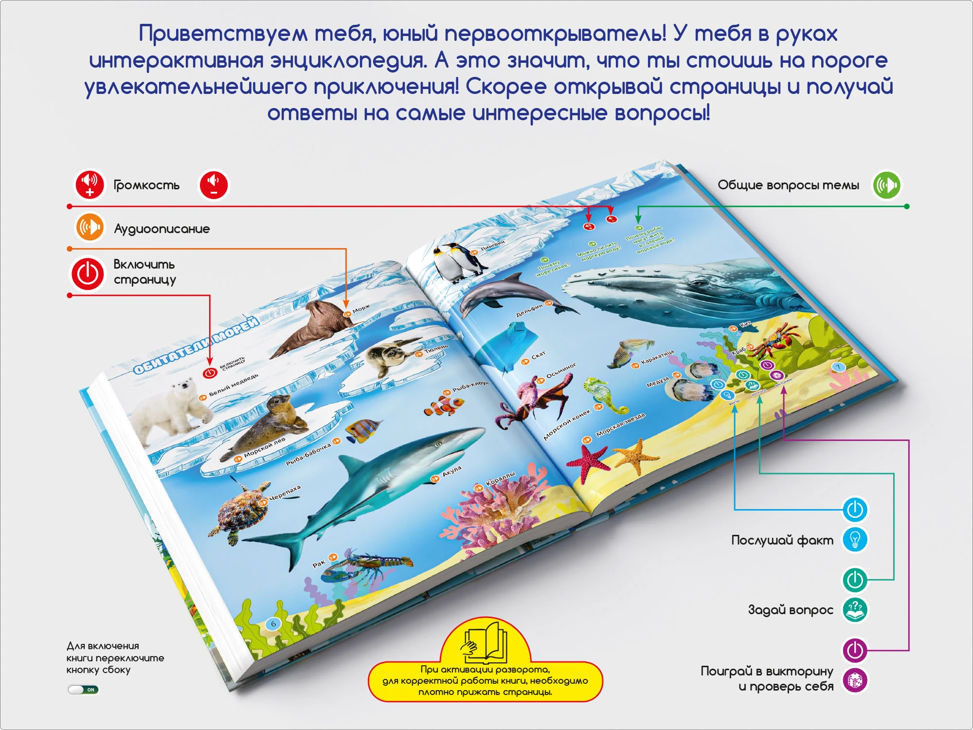 Интерактивная аудиоэнциклопедия — Изображение №5 — Интерфейсы, Графика на Dprofile