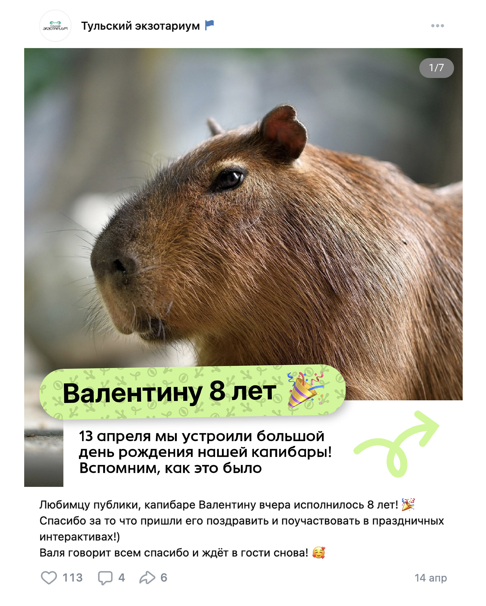 Тульский экзотариум – айдентика & digital-реклама — Изображение №4 — Брендинг, Анимация на Dprofile