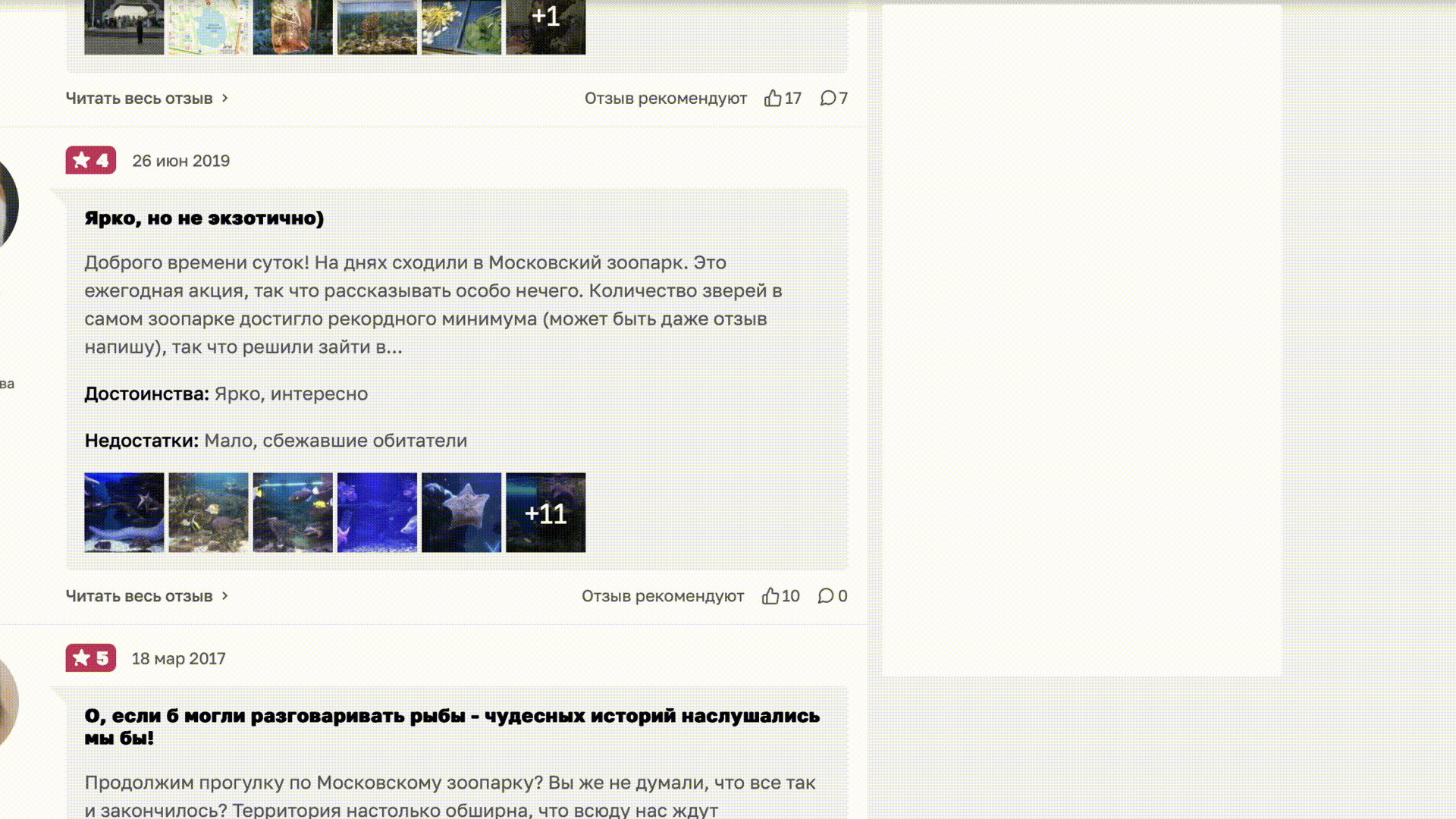 Тульский экзотариум – айдентика & digital-реклама — Изображение №8 — Брендинг, Анимация на Dprofile