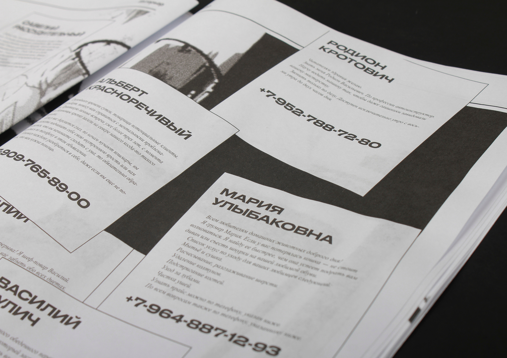 Газета о Чудовищном ЖК «Бизоне» — Изображение №20 — Графика, 3D на Dprofile