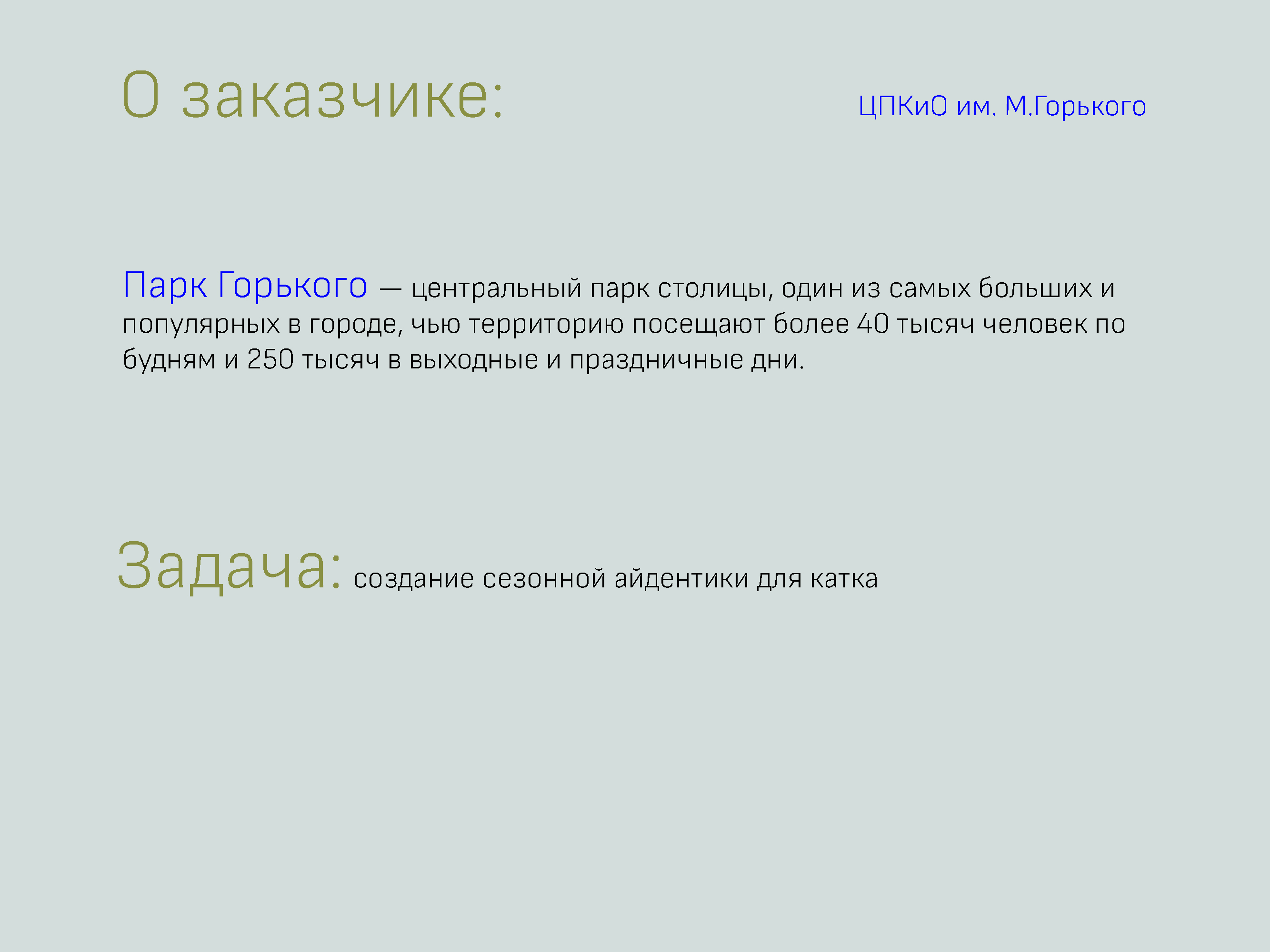 Каток Парк Горького — Изображение №2 — Графика, Маркетинг на Dprofile