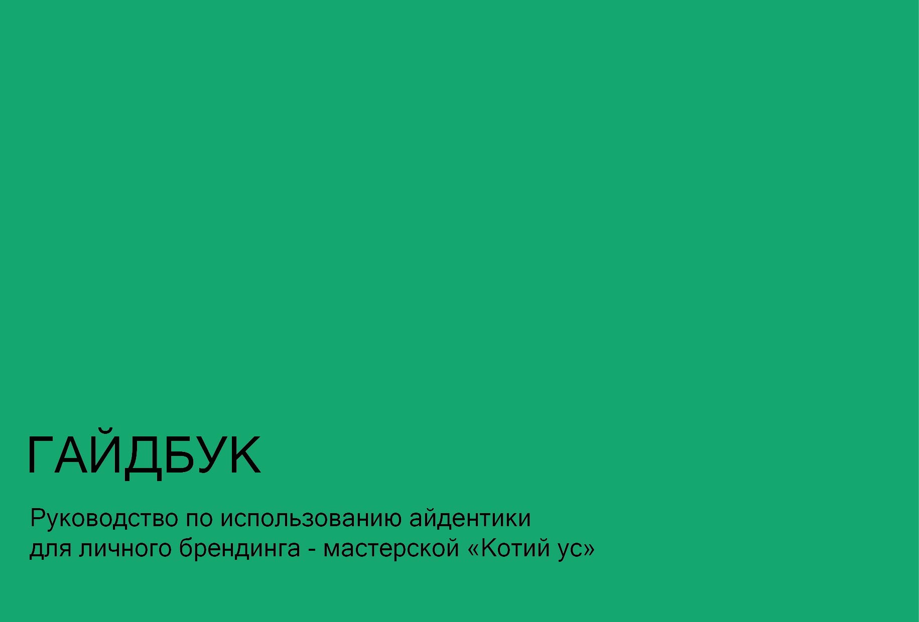 Гайдбук "Котий УС" — Изображение №1 — Брендинг на Dprofile