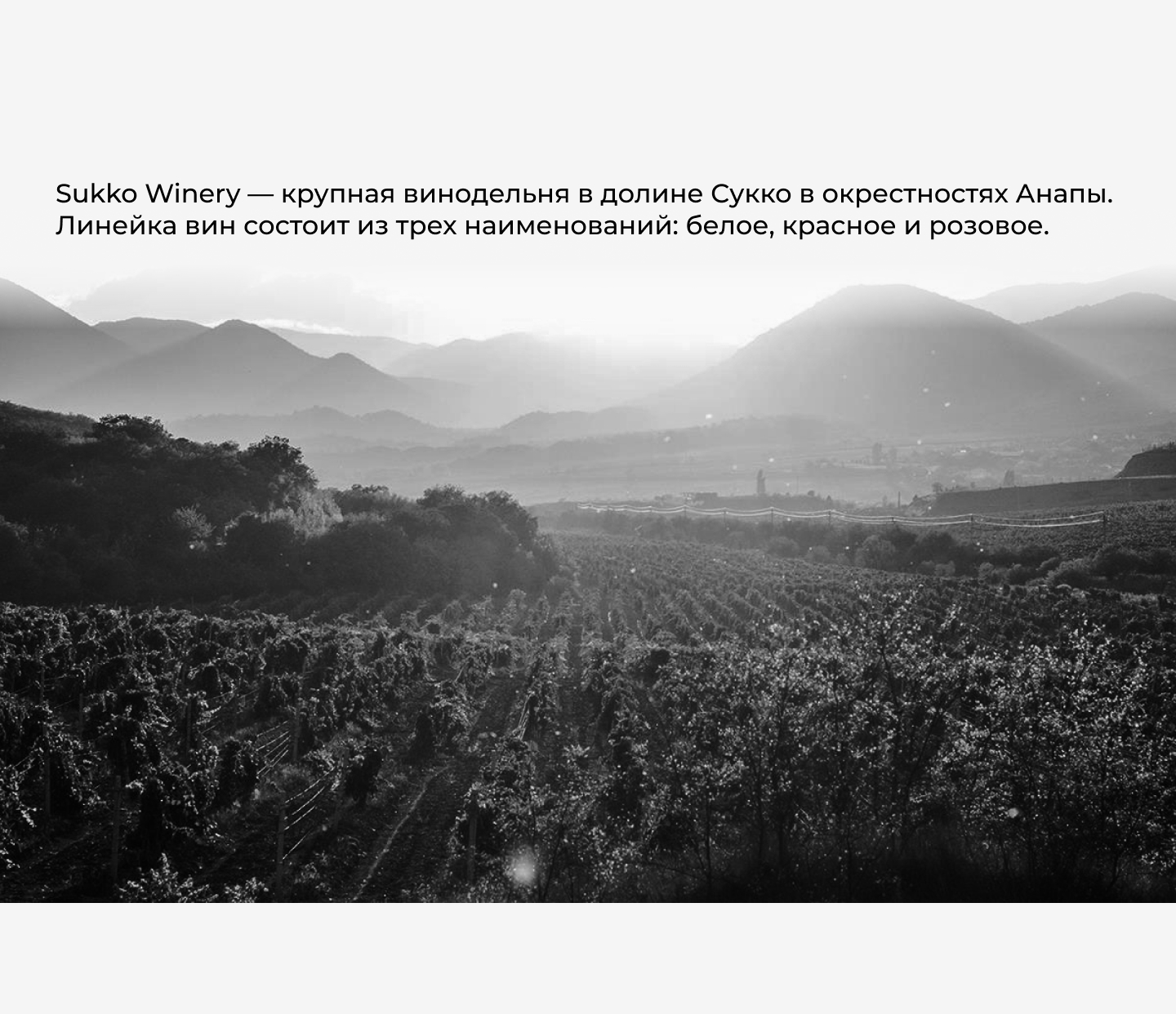 Винные этикетки — Изображение №2 — Брендинг, Графика на Dprofile