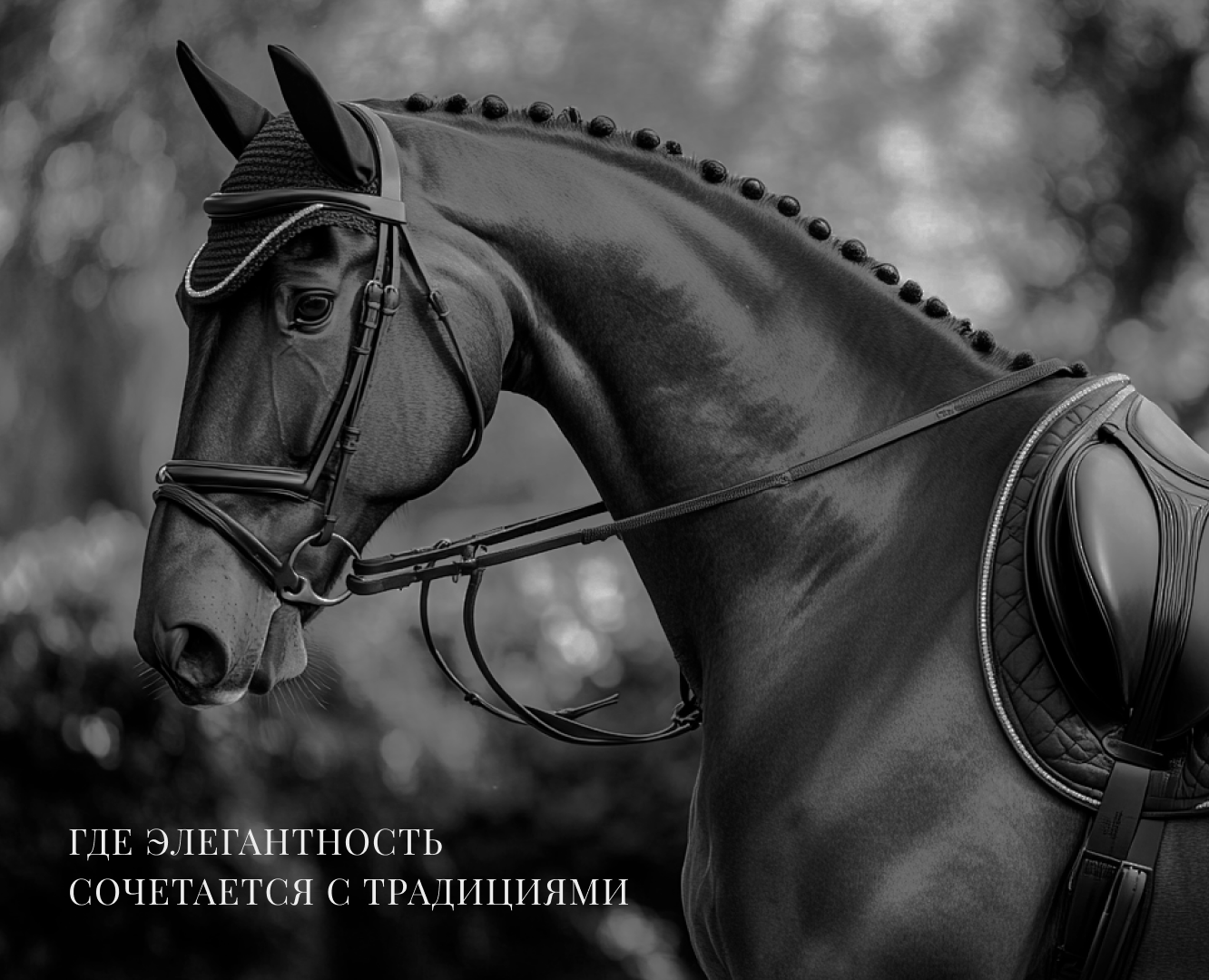 Фирменный стиль для конного клуба | Branding — Брендинг на Dprofile