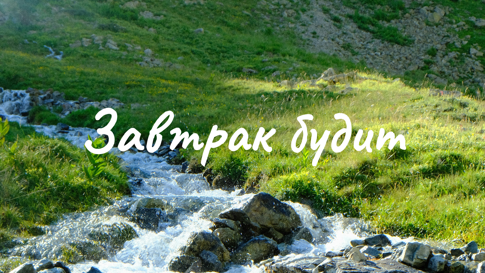 Завтрак будит | Ребрендинг — Изображение №1 — Брендинг на Dprofile