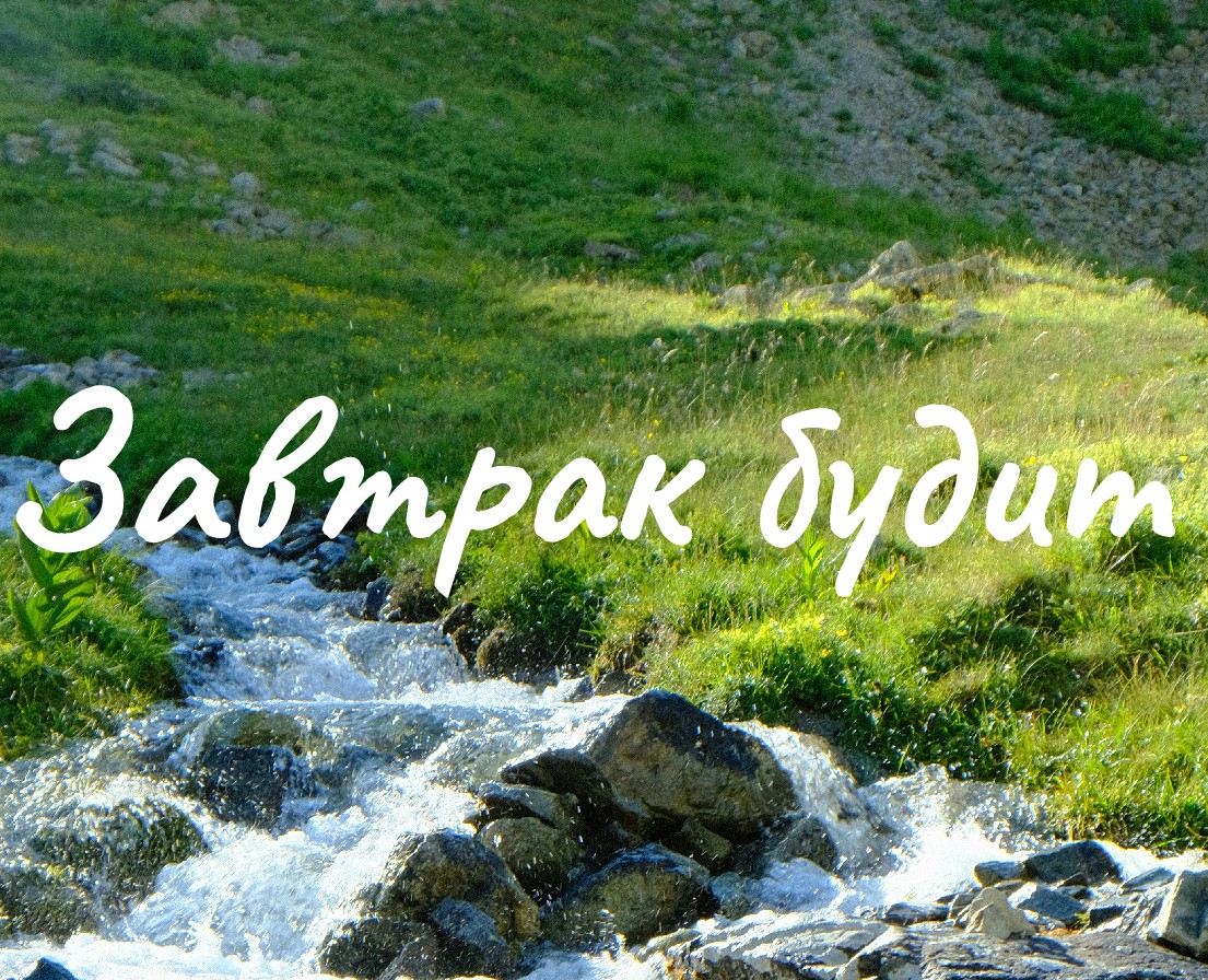 Завтрак будит | Ребрендинг — Брендинг на Dprofile