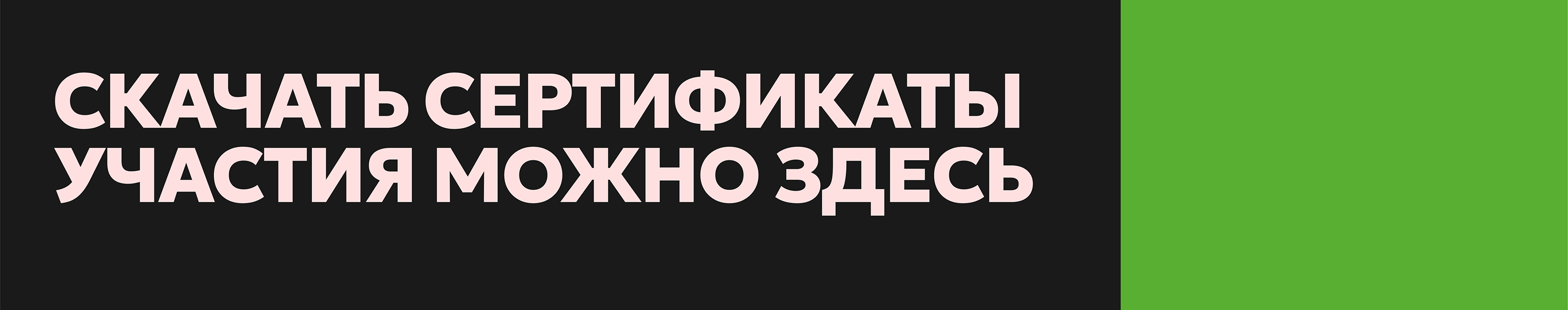 BEAR WITH ME — Изображение №4 — Иллюстрация, Графика на Dprofile