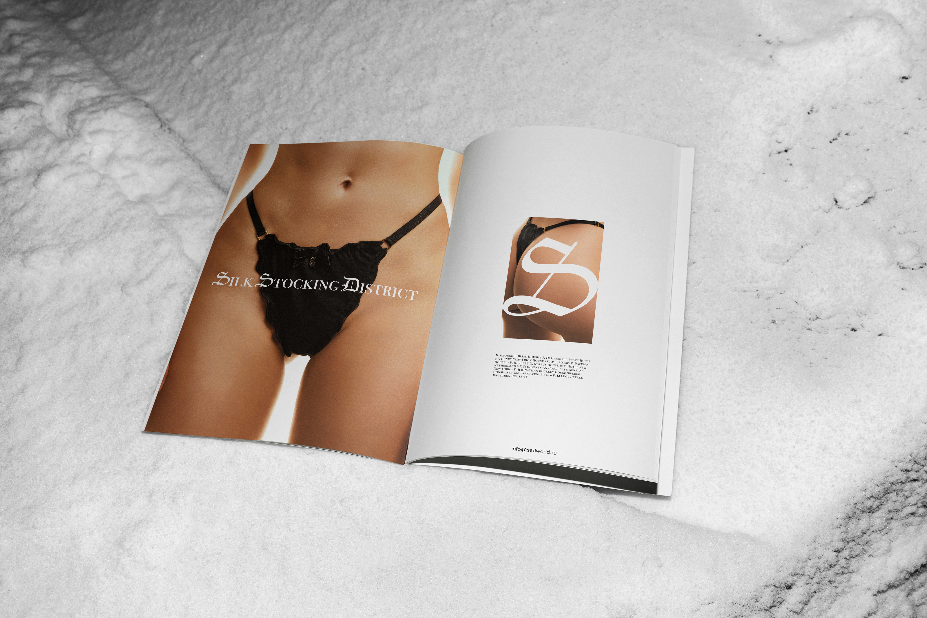 Silk Stocking District (Moscow) Lingerie Brand — Изображение №9 — Брендинг на Dprofile