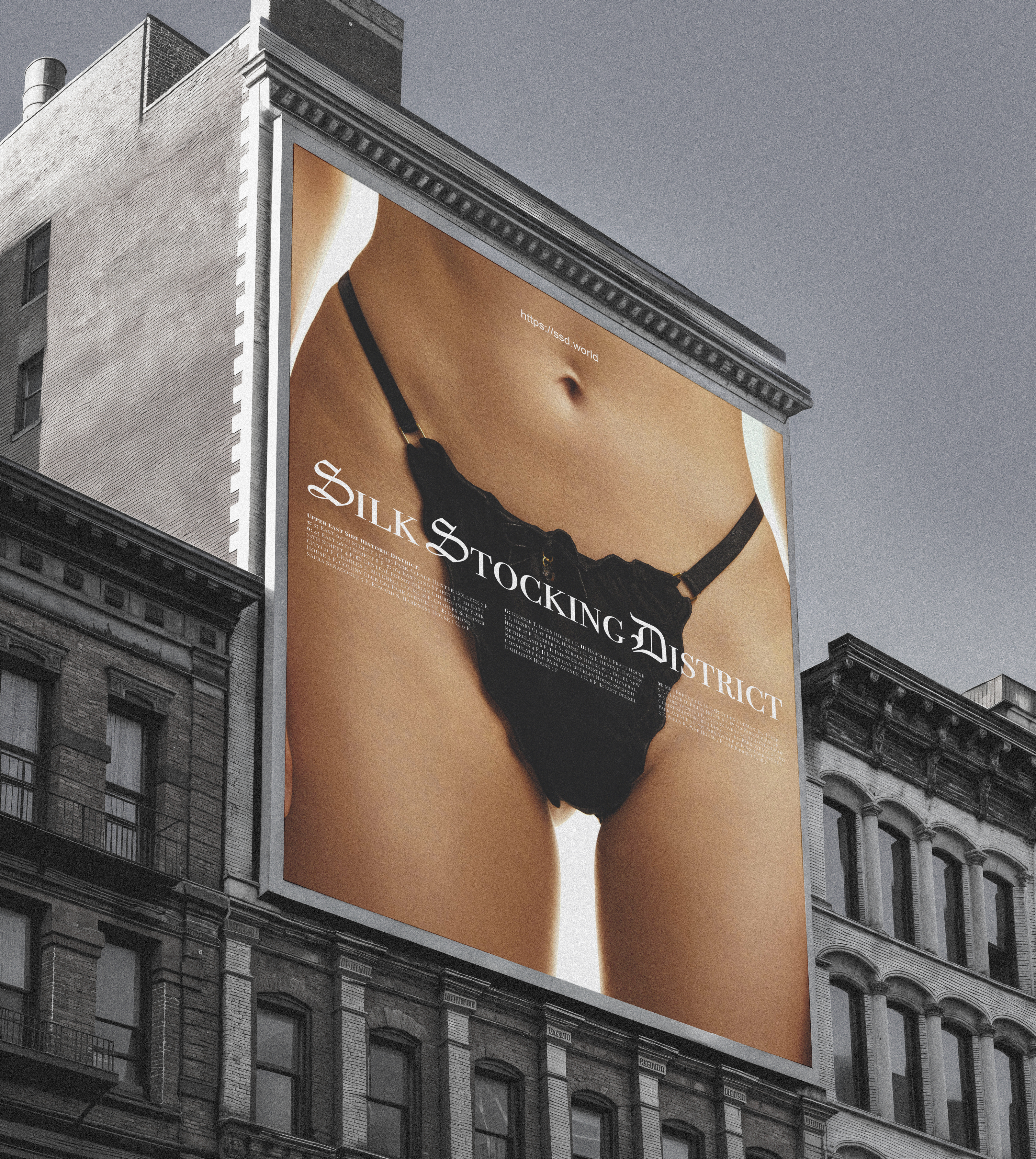 Silk Stocking District (Moscow) Lingerie Brand — Изображение №1 — Брендинг на Dprofile