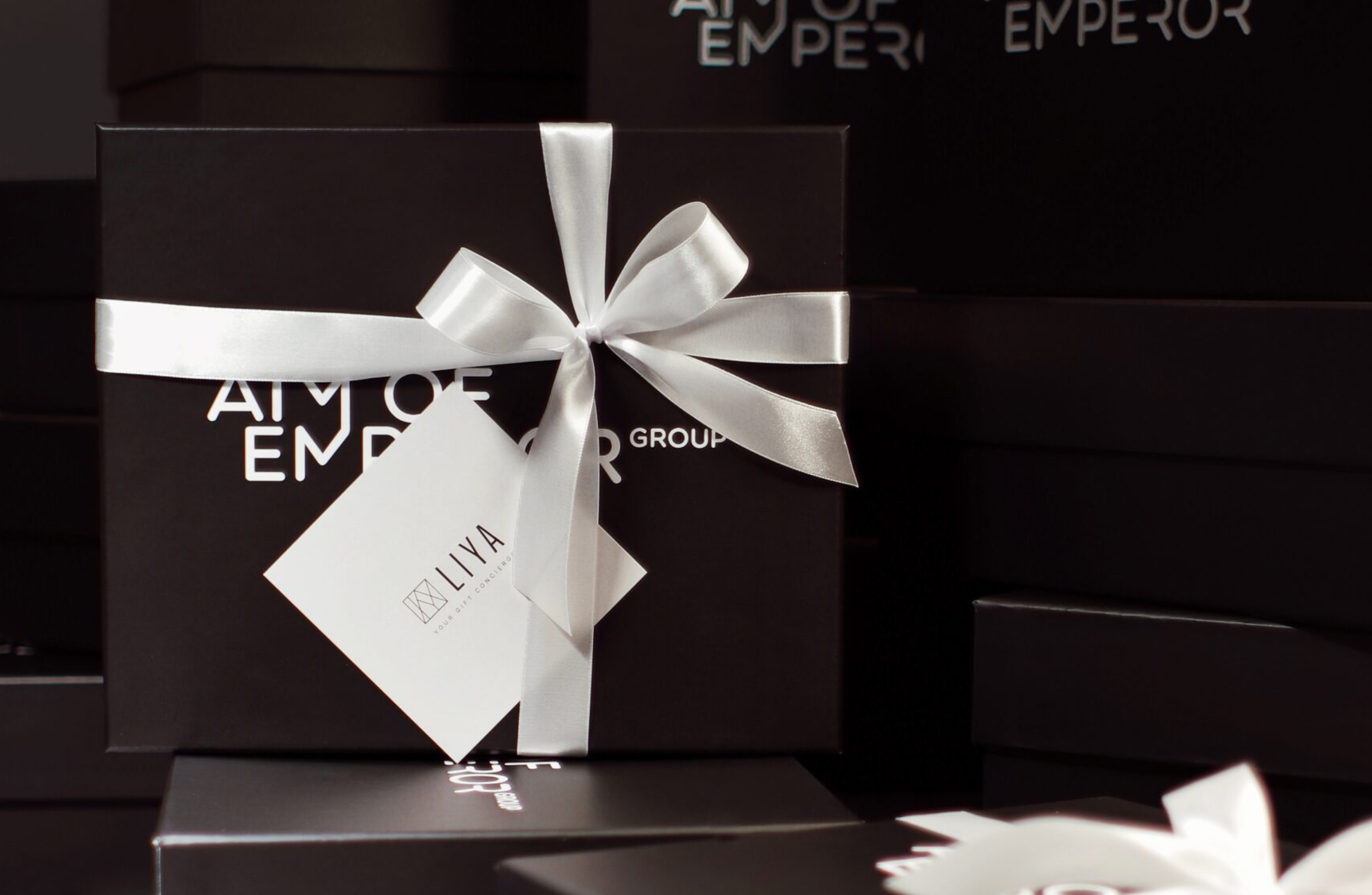 Консьерж-бюро подарков LIYA — Изображение №1 — Брендинг, Графика на Dprofile